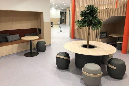 Björkås School | Kube Contract