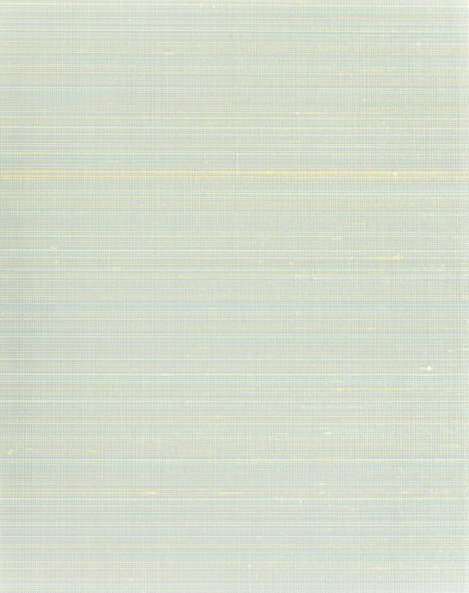 Ravi Silk