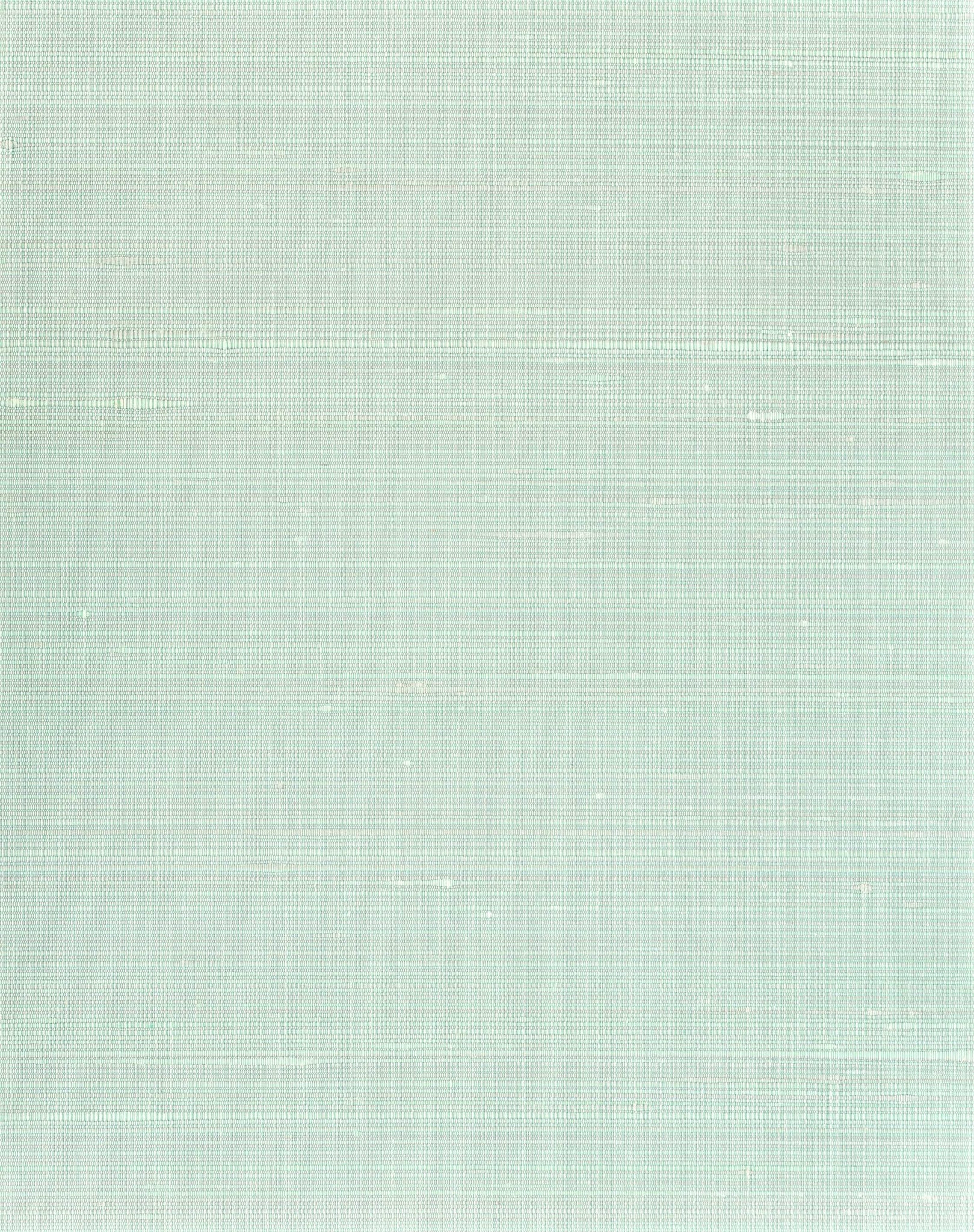 Ravi Silk