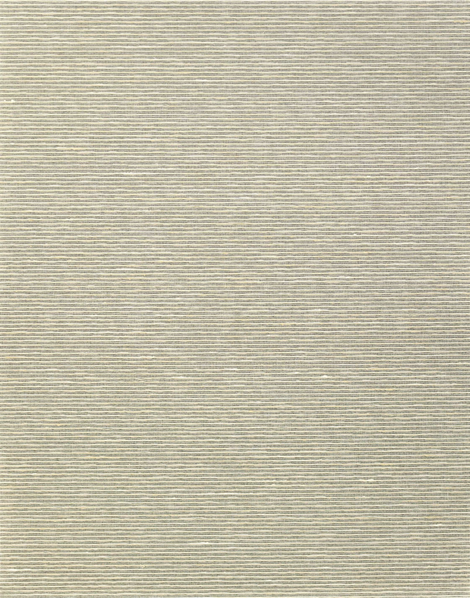 Aditi Plain Silk