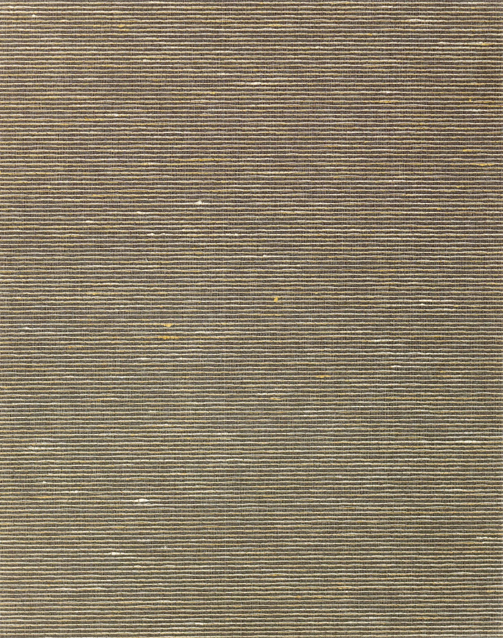 Aditi Plain Silk