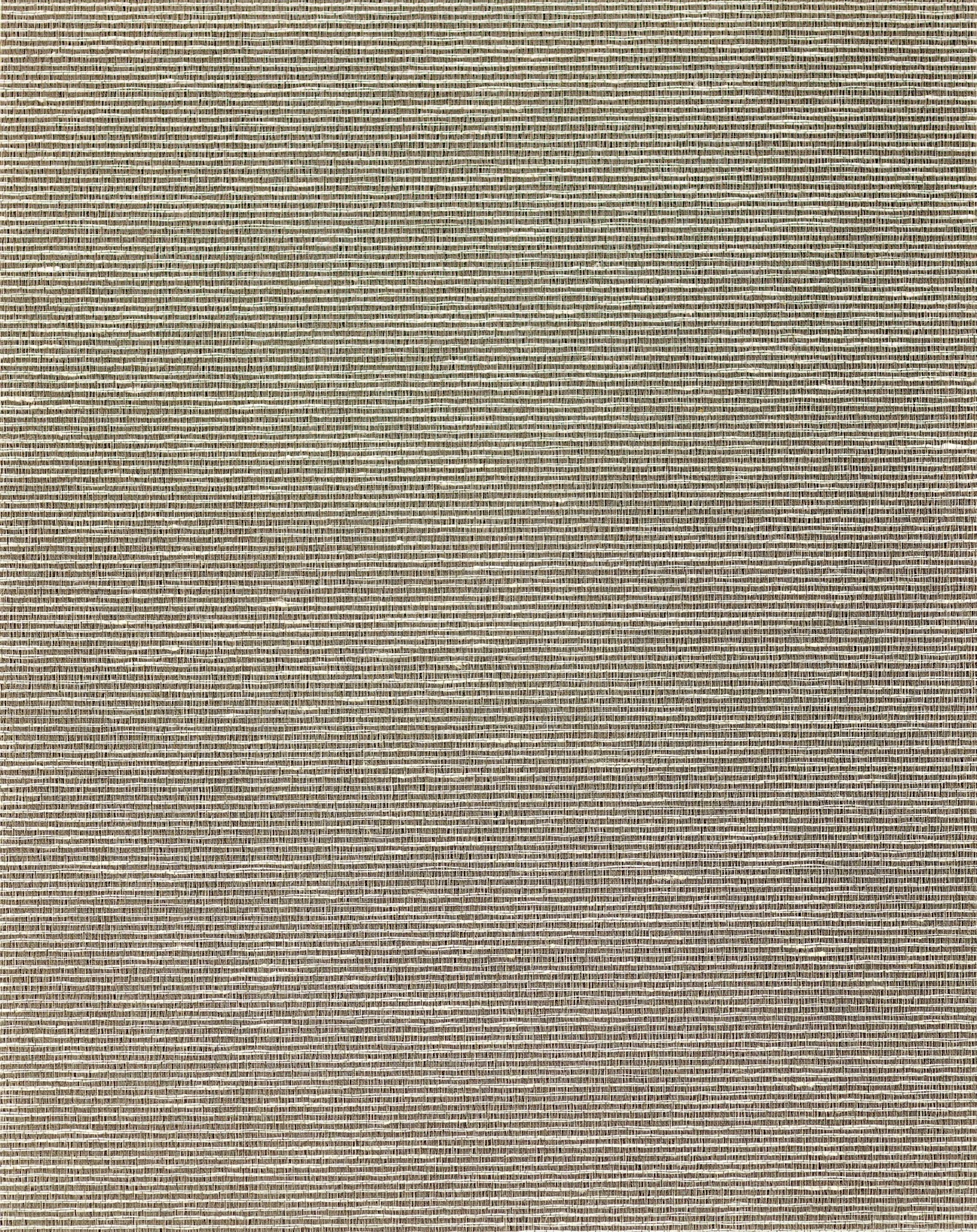 Aditi Plain Silk