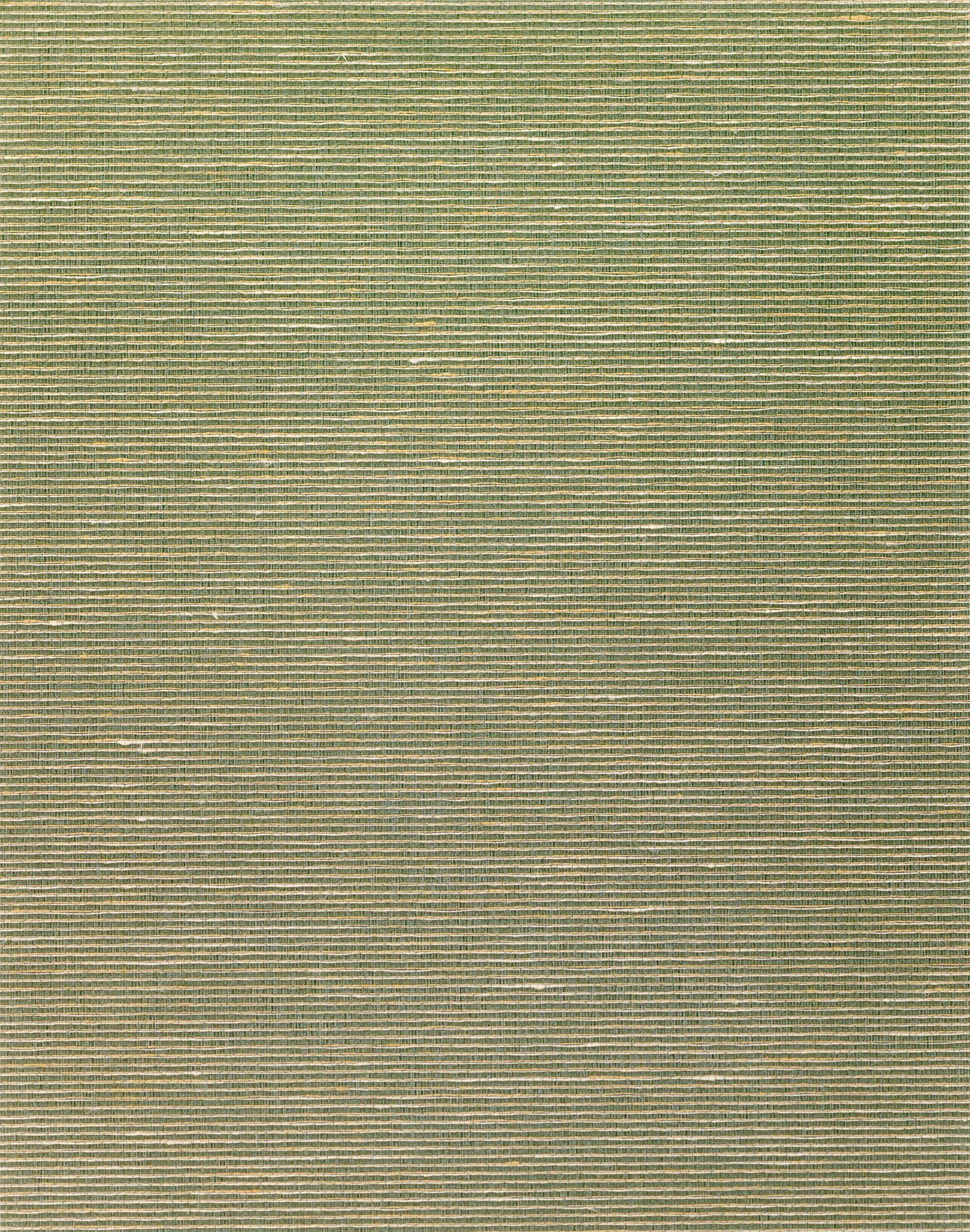 Aditi Plain Silk