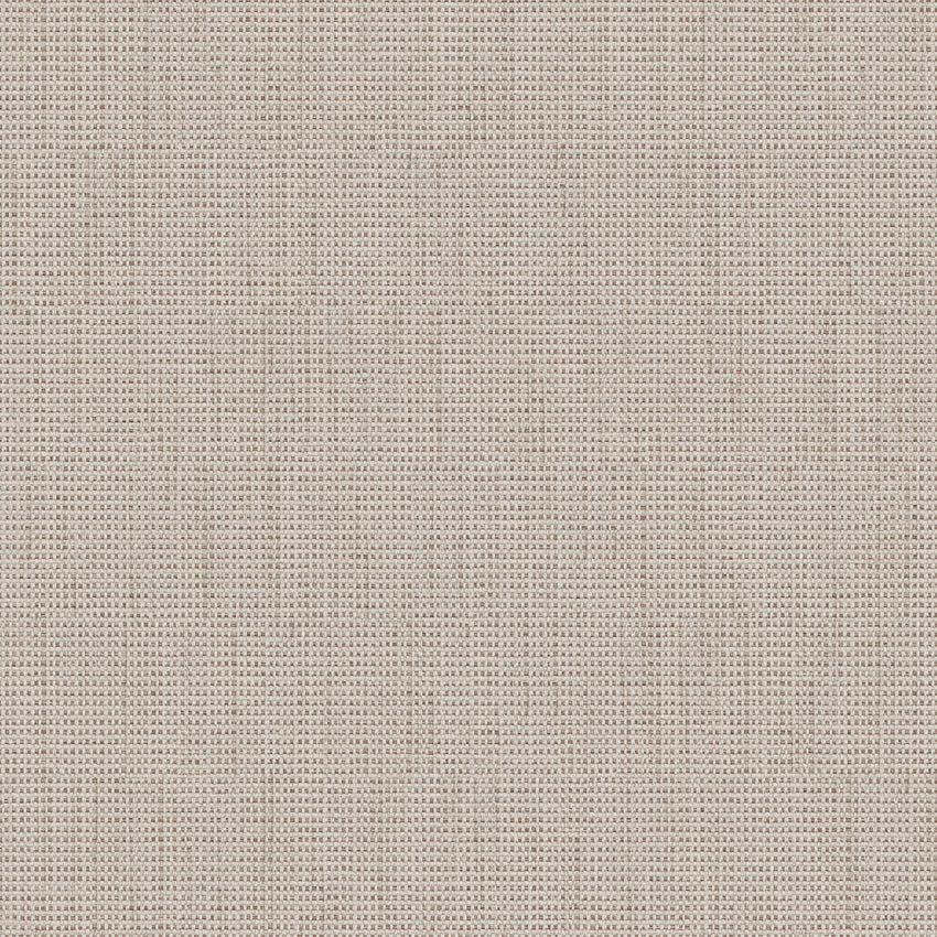 Birch