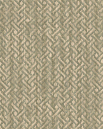 Y48380RR Oregano