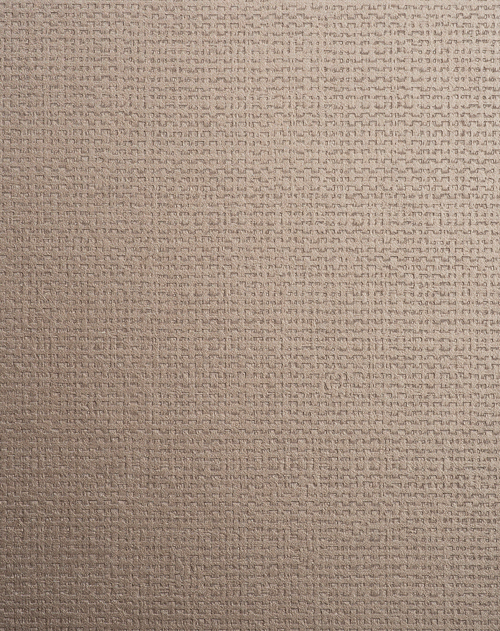 Canvasa