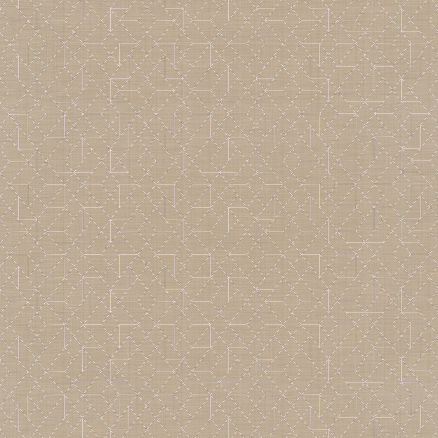 Angles - Y47569 - Wallcovering - Vycon - Kube Contract