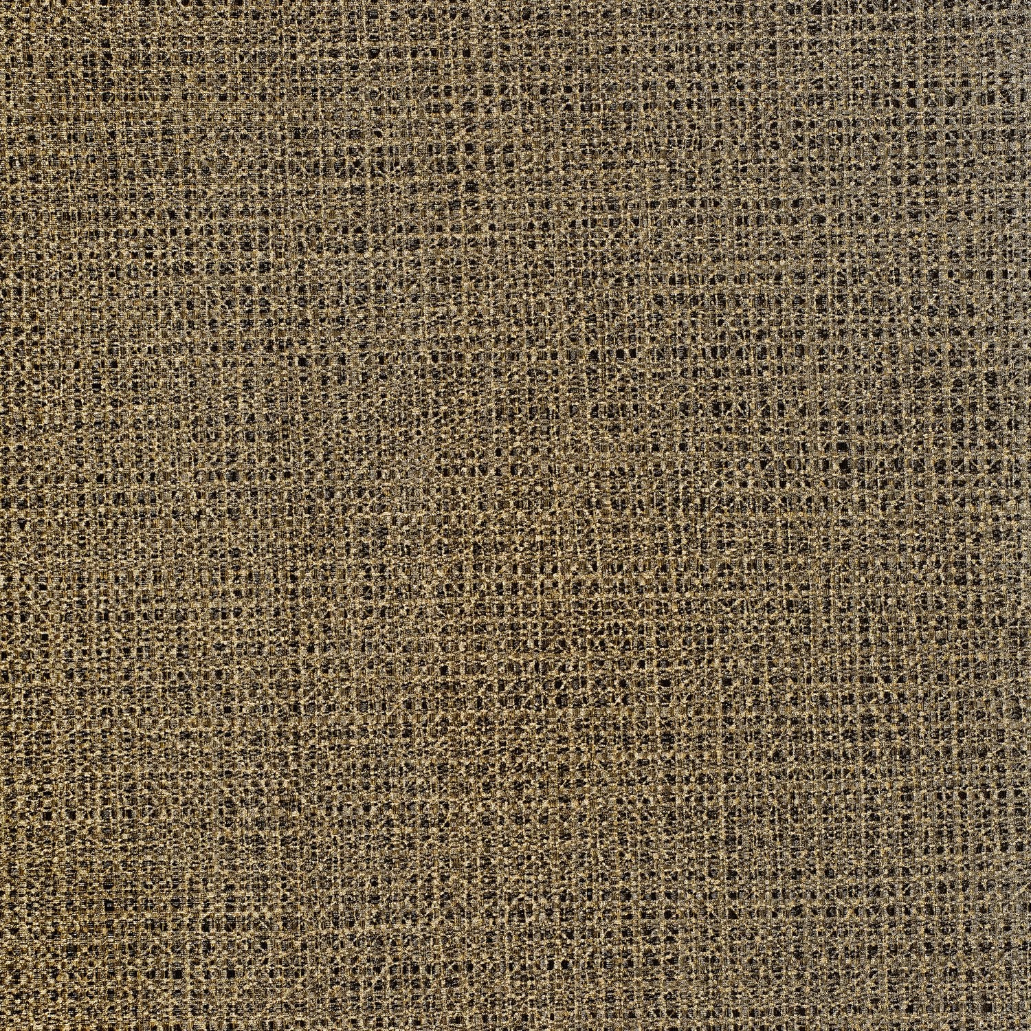 Divine - Y47639 Praline - Wallcovering - Vycon - Kube Contract