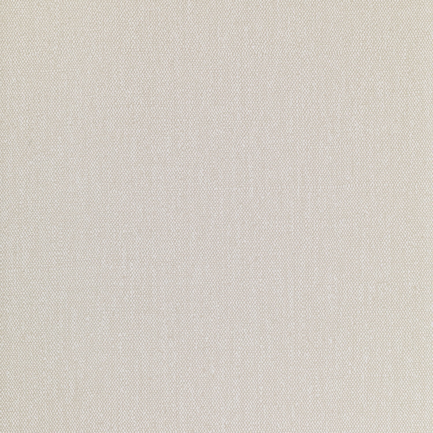 Albert + Protect - 1103.11PRO - Wallcovering - Vescom - Kube Contract