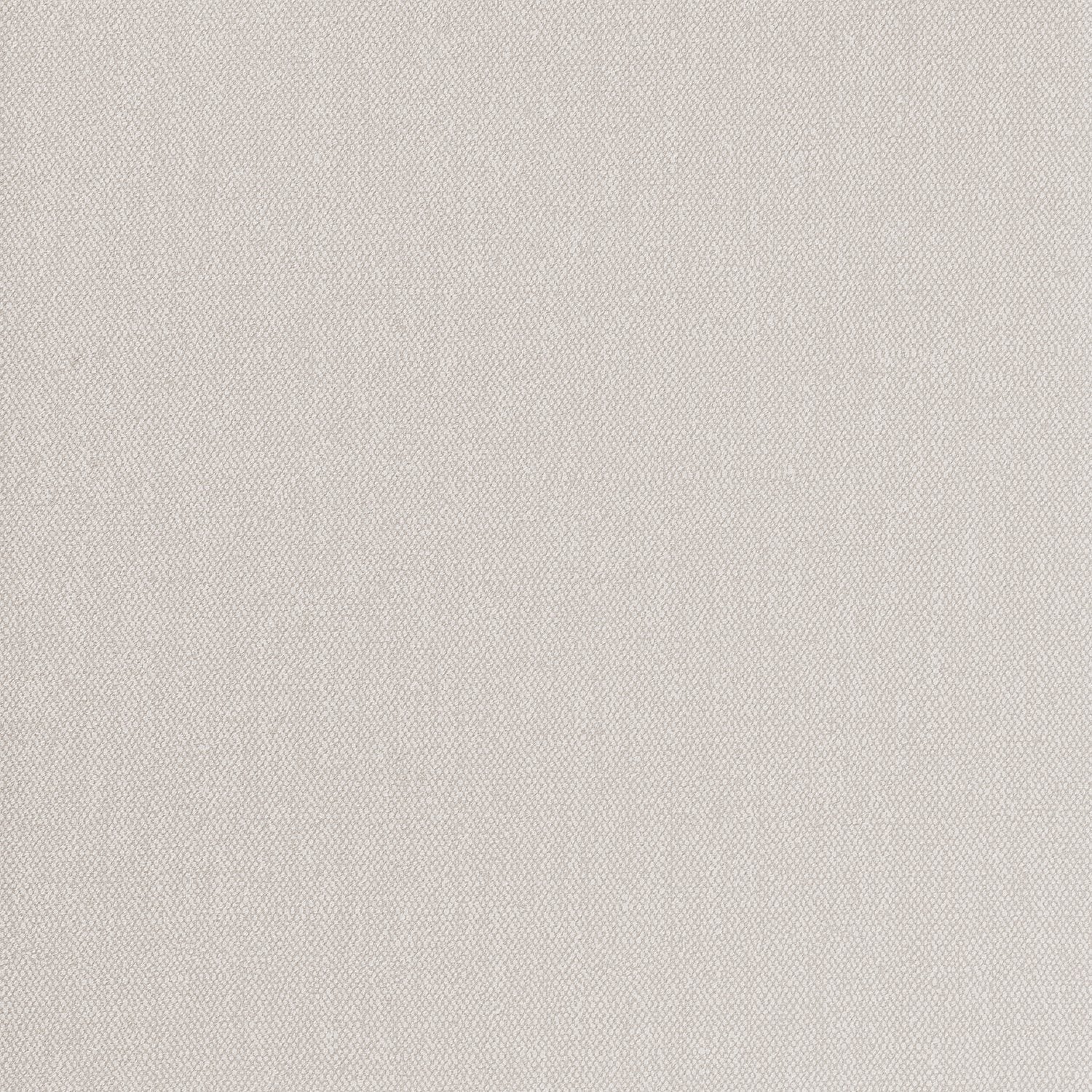 Albert + Protect - 1103.19PRO - Wallcovering - Vescom - Kube Contract