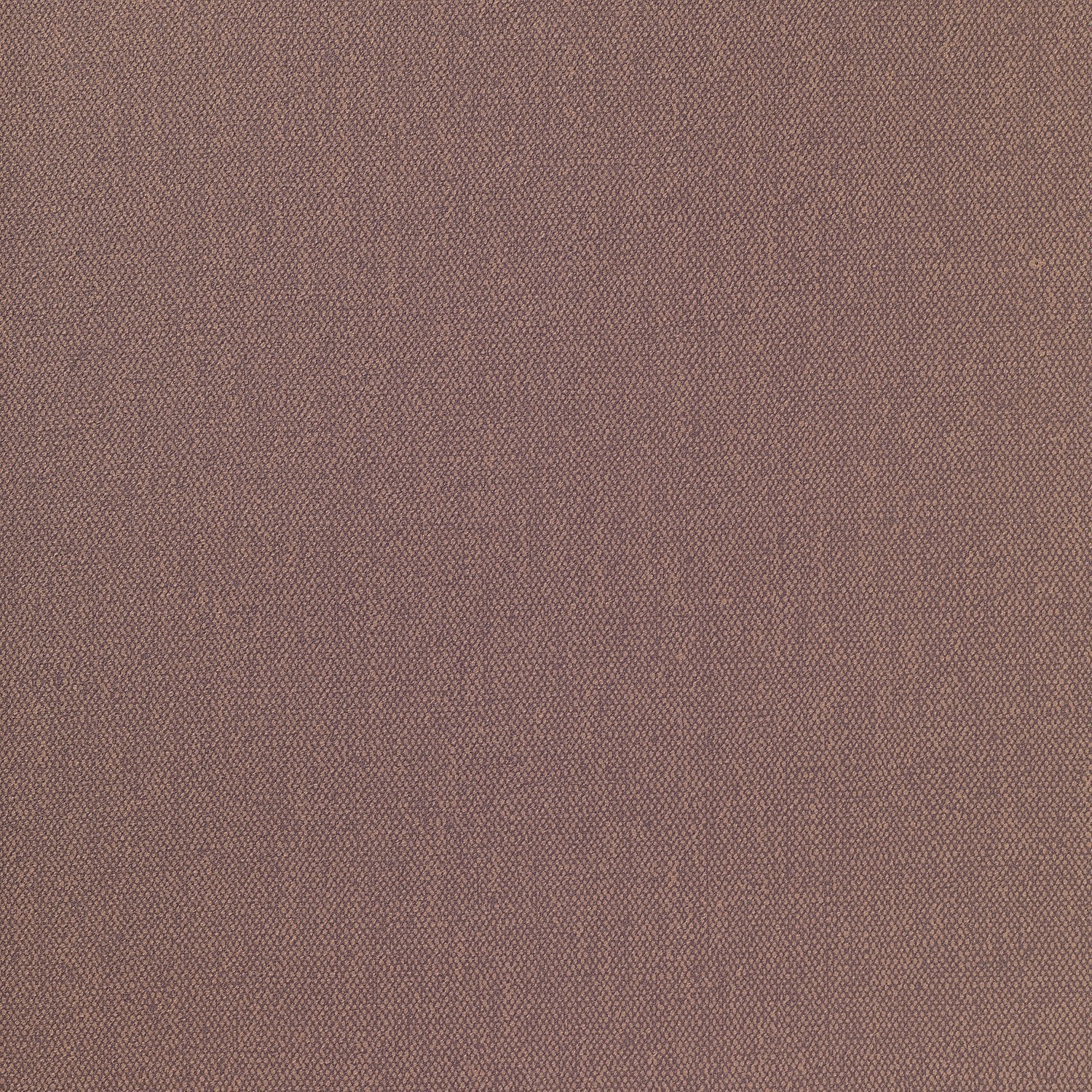 Albert - 1103.31 - Wallcovering - Vescom - Kube Contract