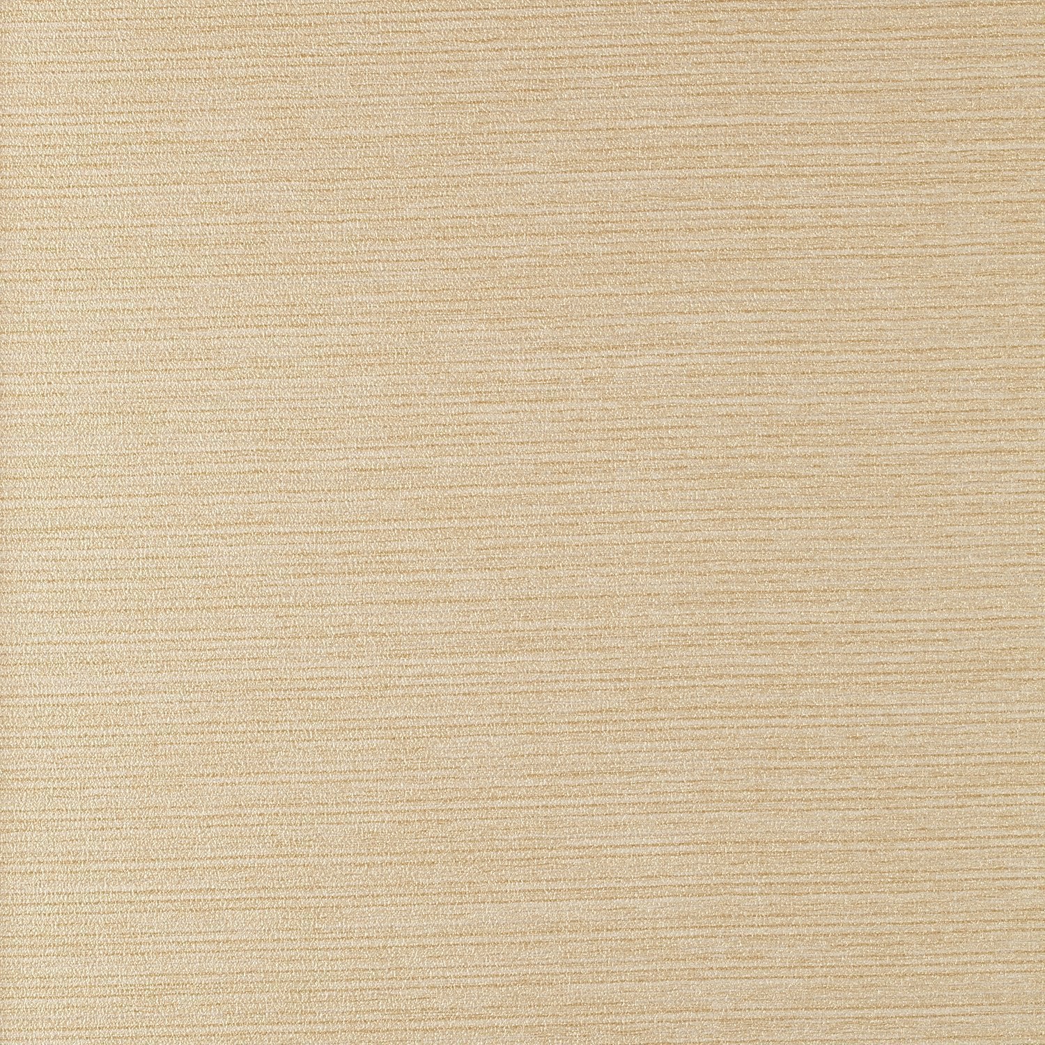 Allure - Y46651 - Wallcovering - Vycon - Kube Contract