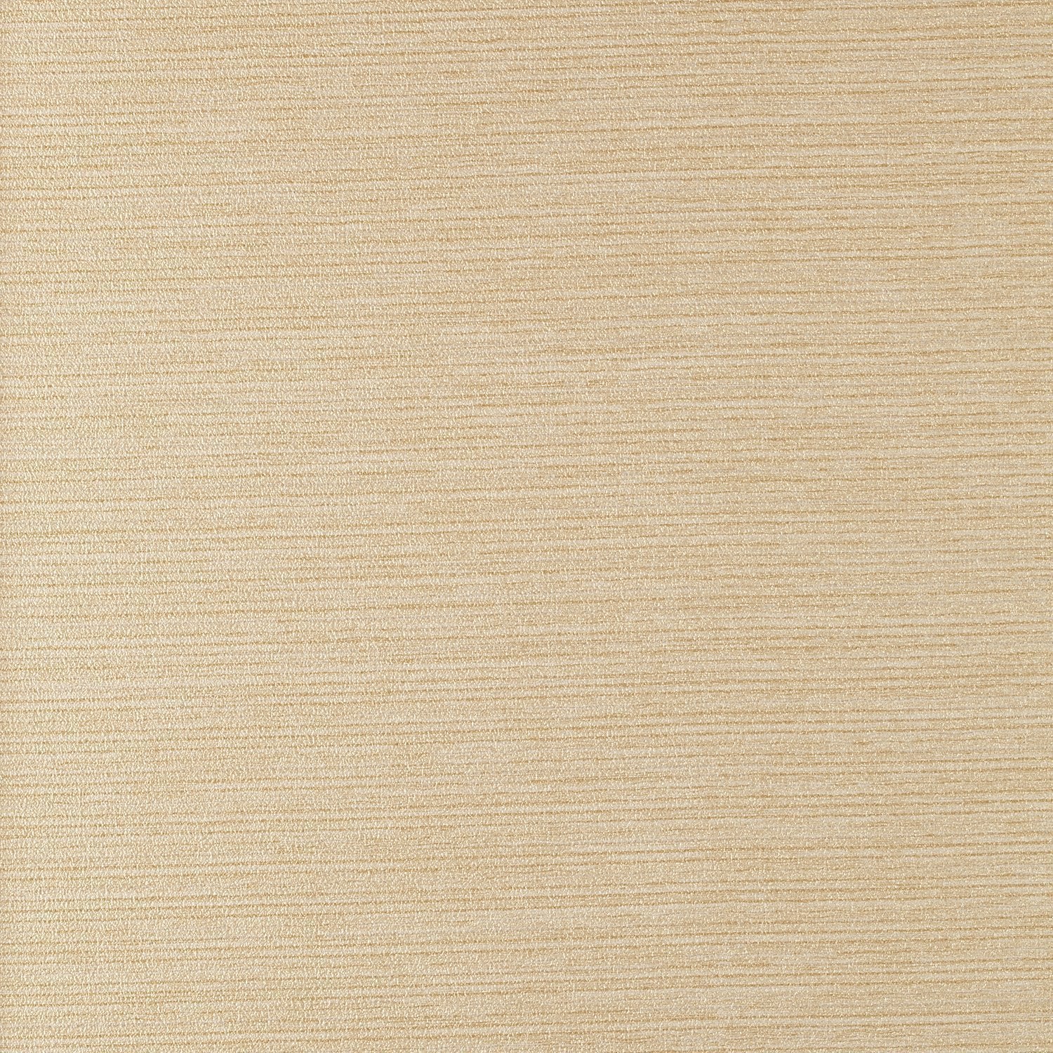 Allure - Y46651 - Wallcovering - Vycon - Kube Contract