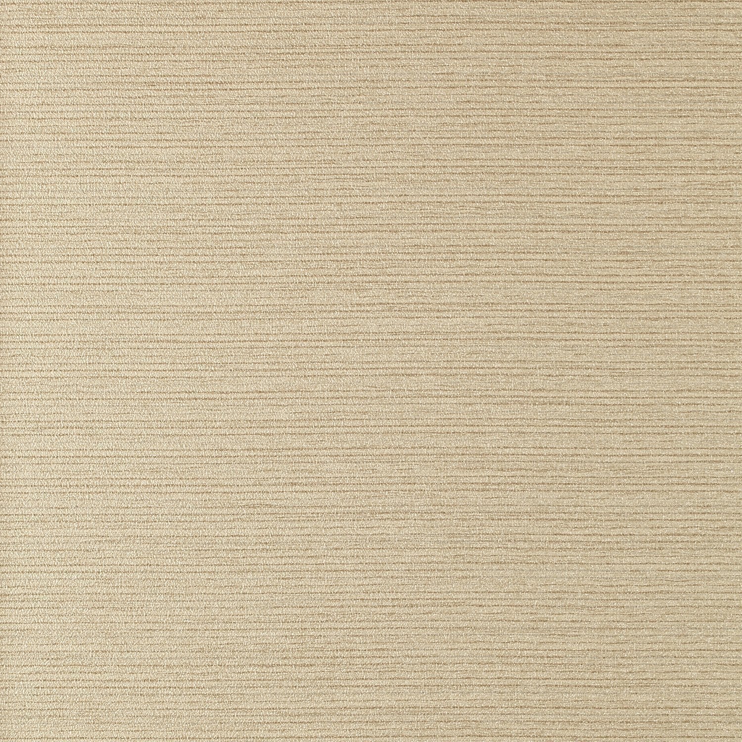 Allure - Y46652 - Wallcovering - Vycon - Kube Contract