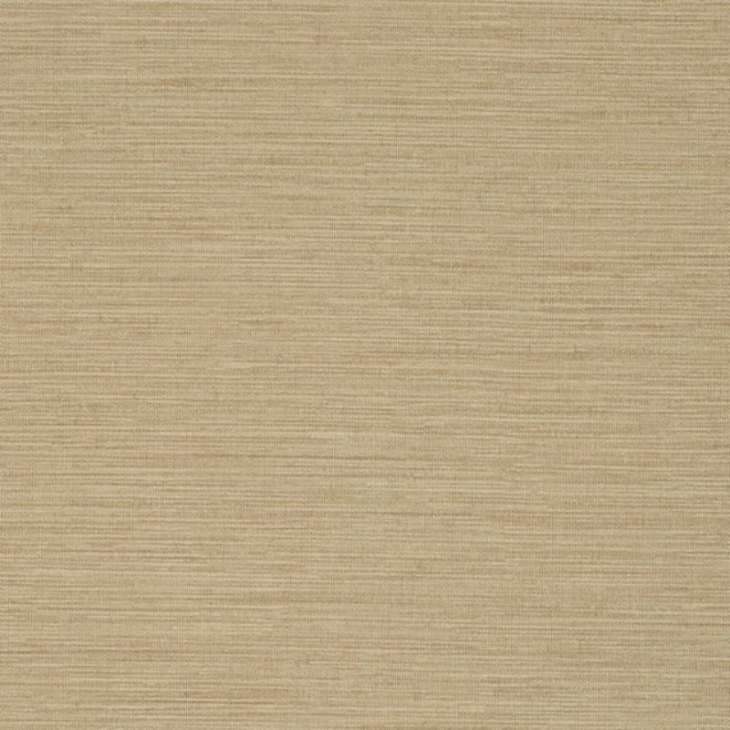 Charisma - Y46372 - Wallcovering - Vycon - Kube Contract