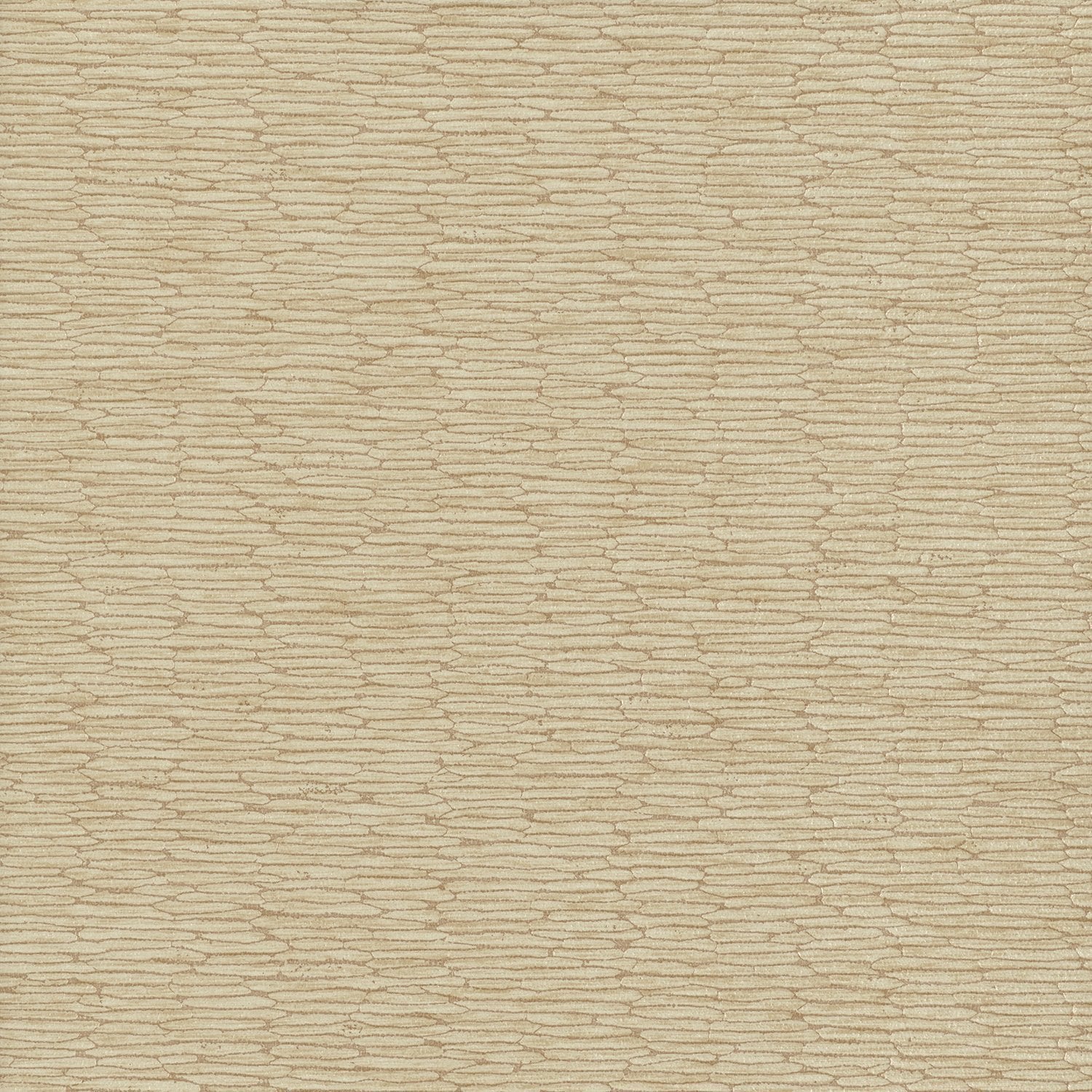 Chipper - Y46850 - Wallcovering - Vycon - Kube Contract