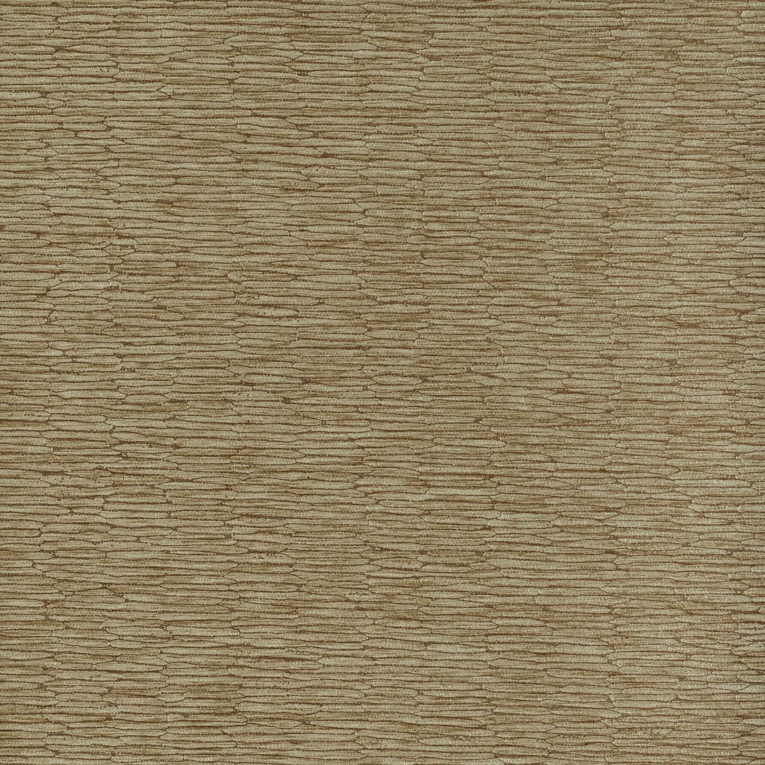 Chipper - Y46852 - Wallcovering - Vycon - Kube Contract