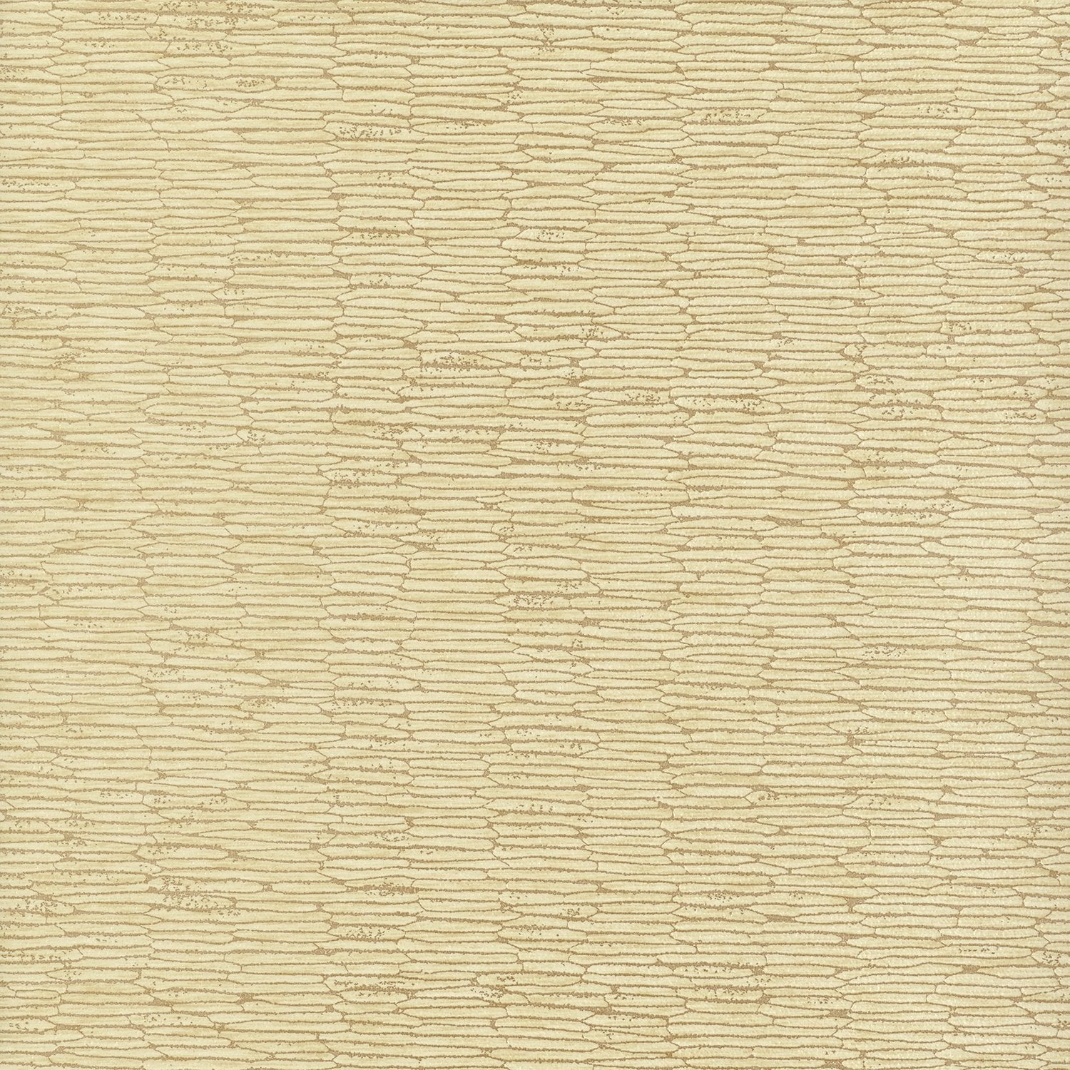 Chipper - Y46854 - Wallcovering - Vycon - Kube Contract
