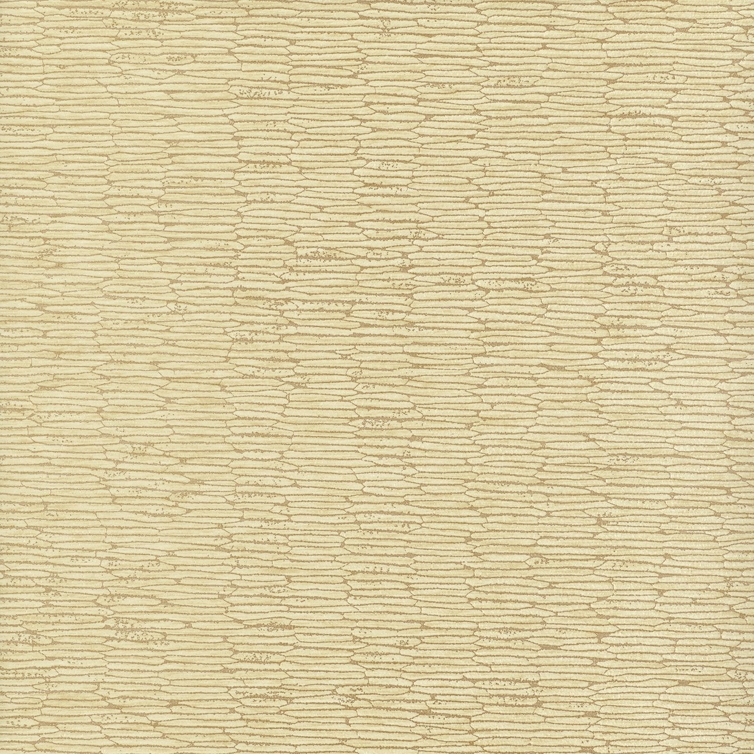 Chipper - Y46854 - Wallcovering - Vycon - Kube Contract
