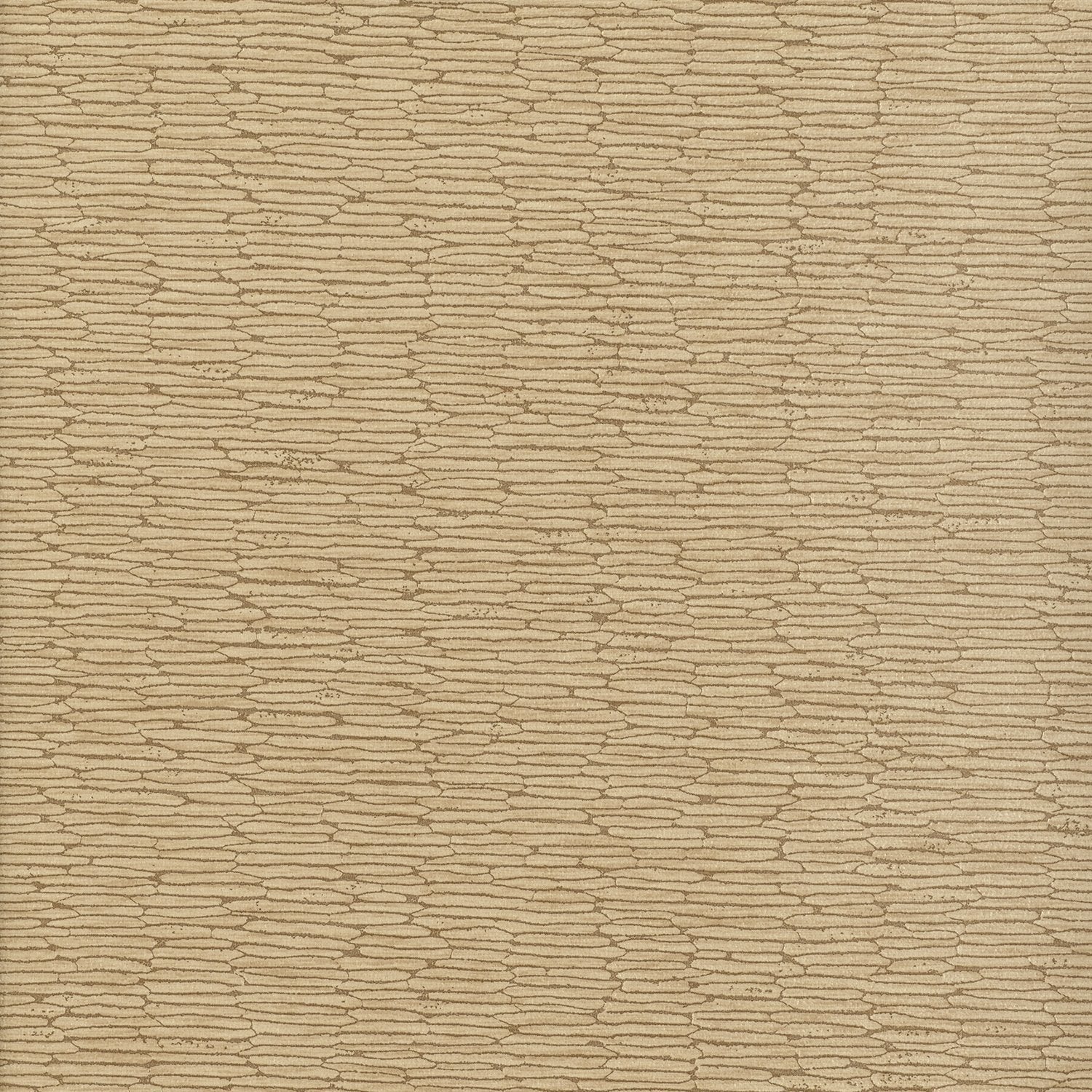 Chipper - Y46855 - Wallcovering - Vycon - Kube Contract