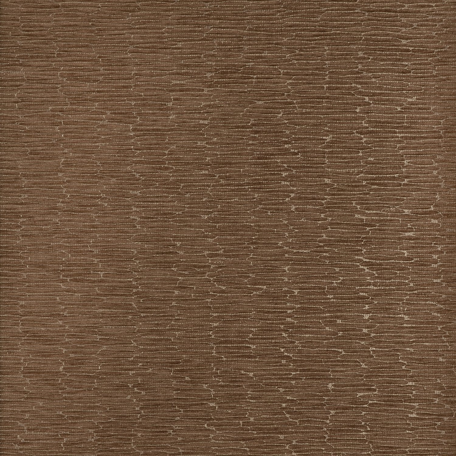 Chipper - Y46857 - Wallcovering - Vycon - Kube Contract