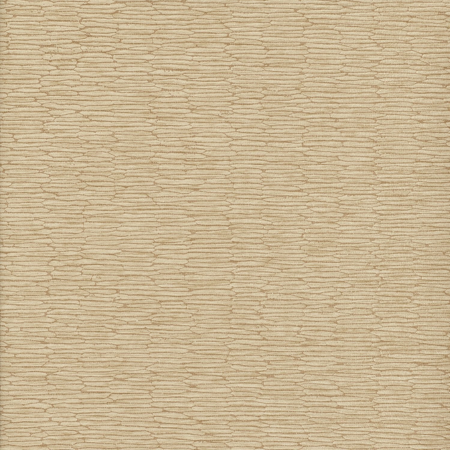 Chipper - Y46859 - Wallcovering - Vycon - Kube Contract