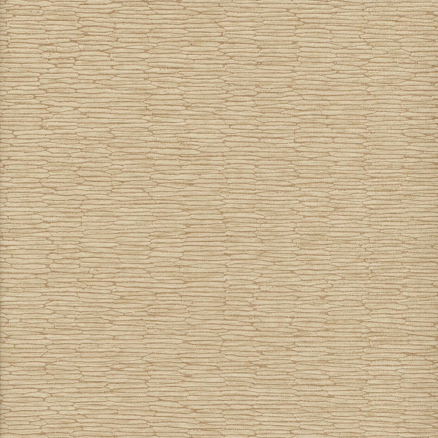 Chipper - Y46859 - Wallcovering - Vycon - Kube Contract