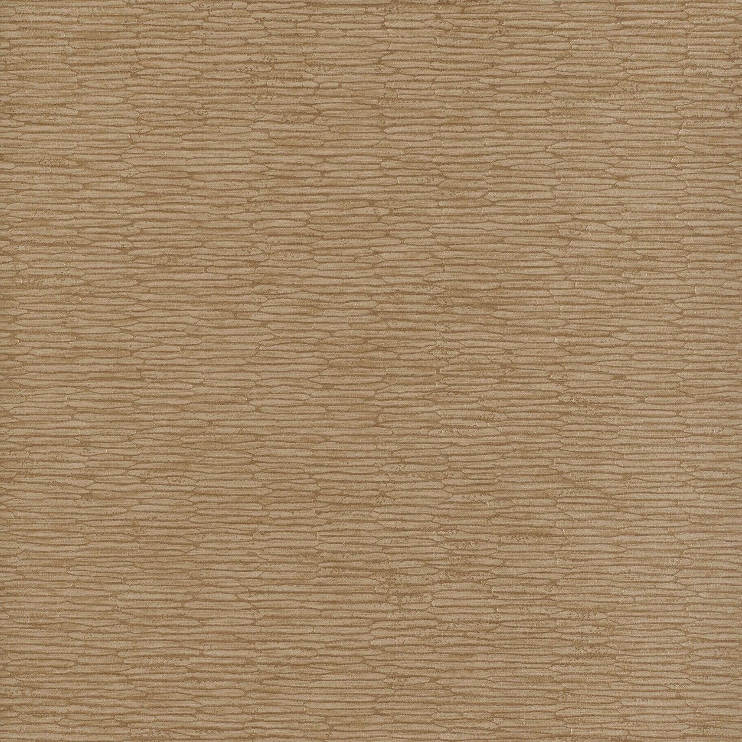 Chipper - Y46860 - Wallcovering - Vycon - Kube Contract