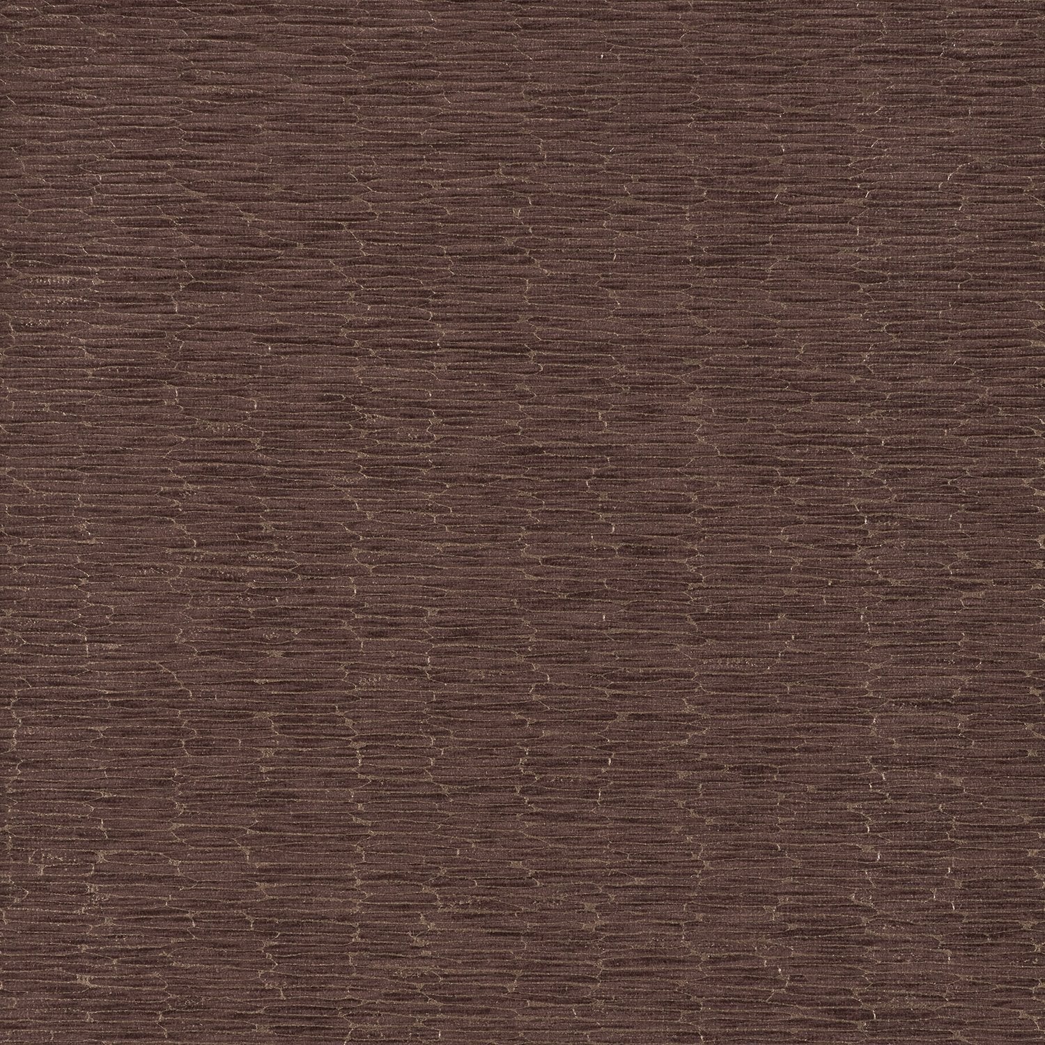 Chipper - Y46861 - Wallcovering - Vycon - Kube Contract