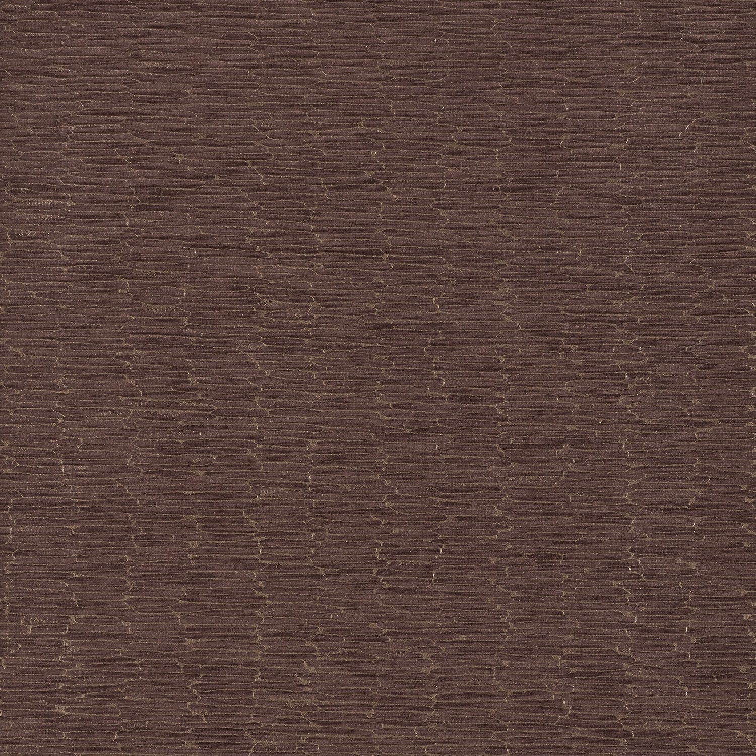 Chipper - Y46861 - Wallcovering - Vycon - Kube Contract