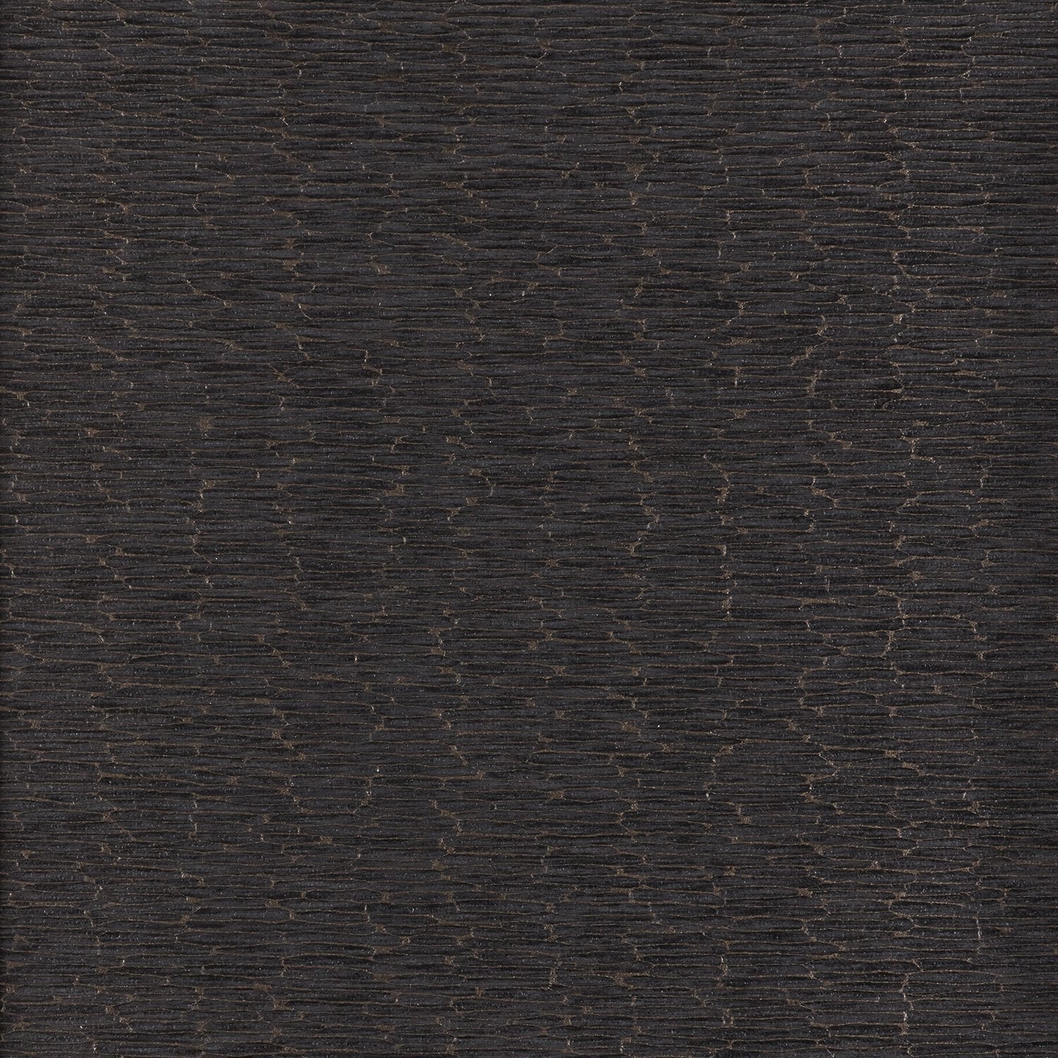 Chipper - Y46865 - Wallcovering - Vycon - Kube Contract