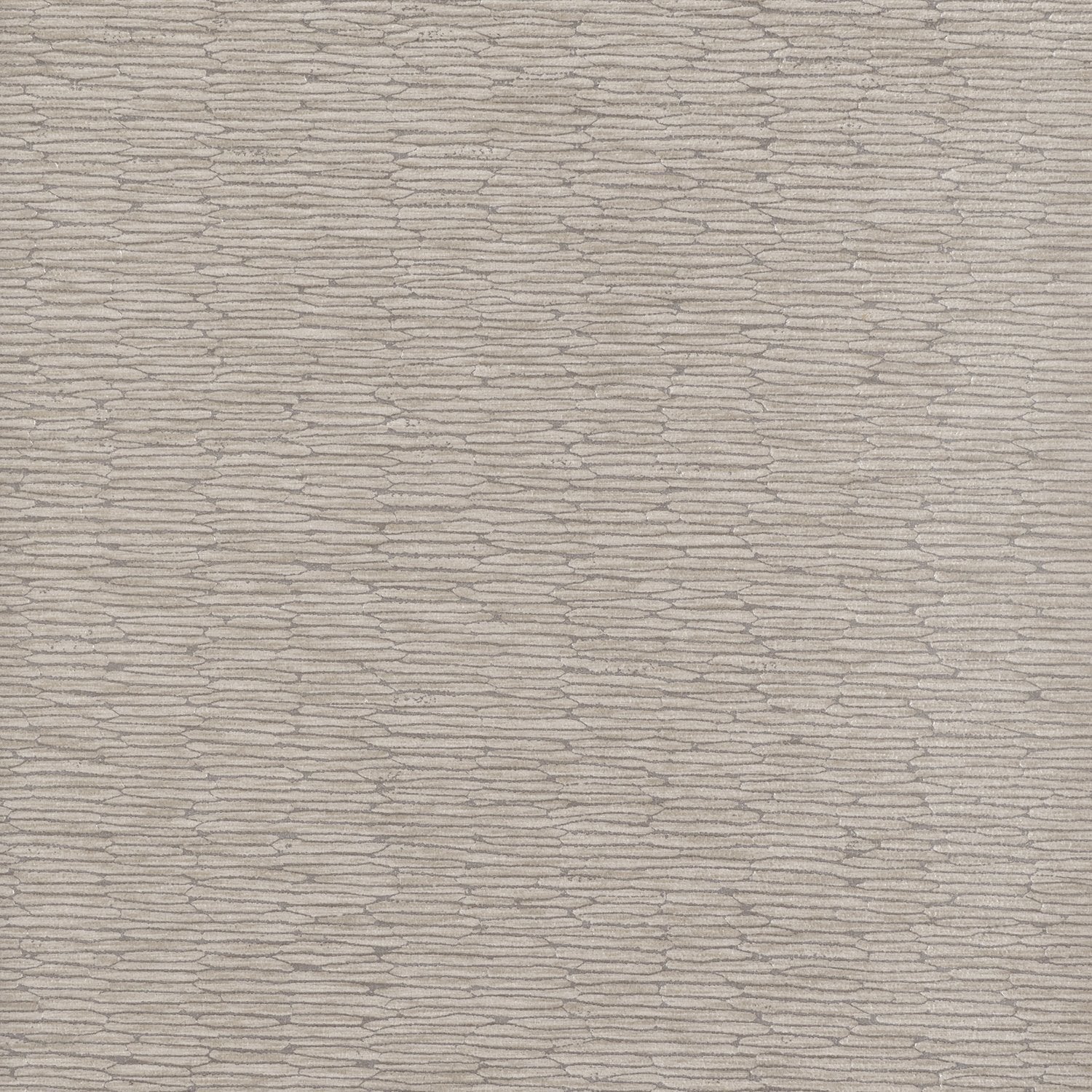 Chipper - Y46868 - Wallcovering - Vycon - Kube Contract