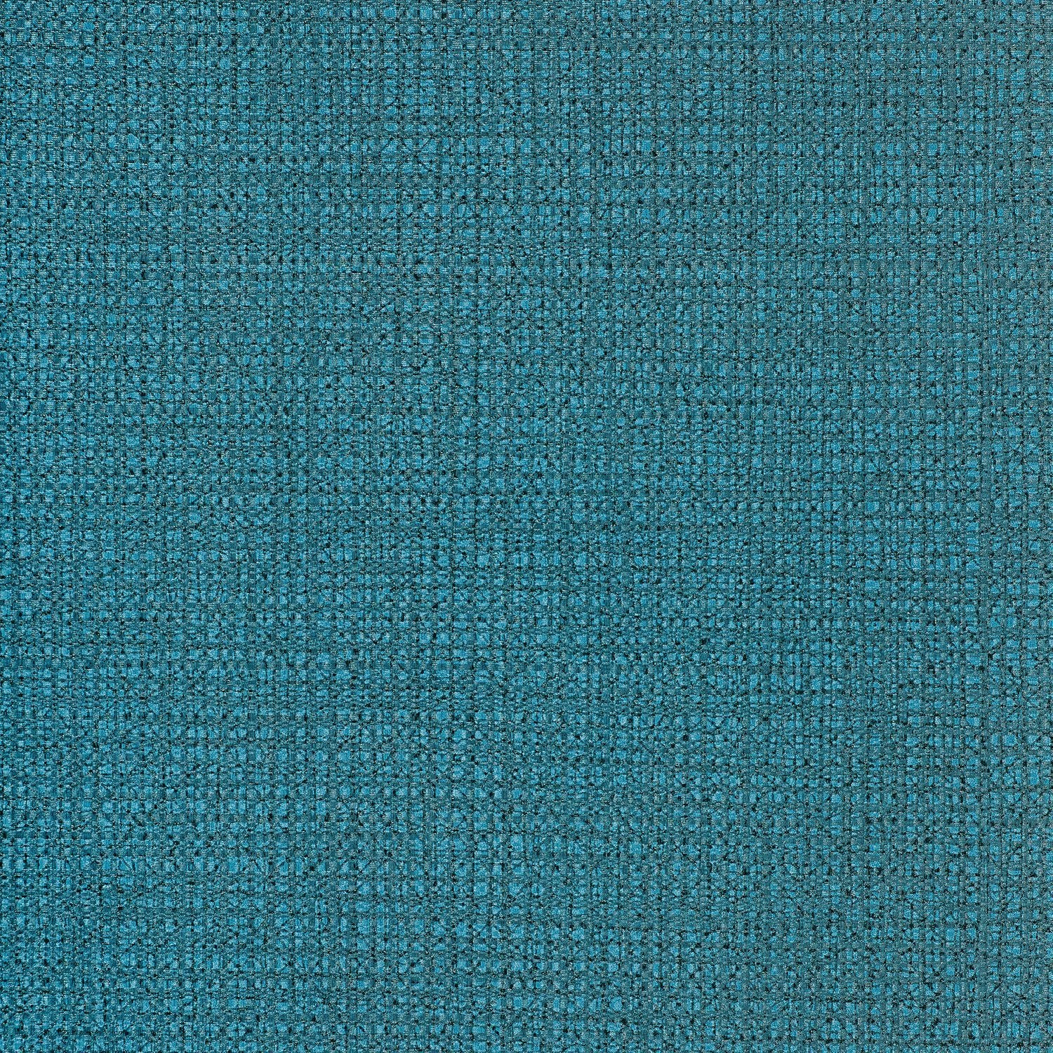 Divine - Y47623 Splash - Wallcovering - Vycon - Kube Contract