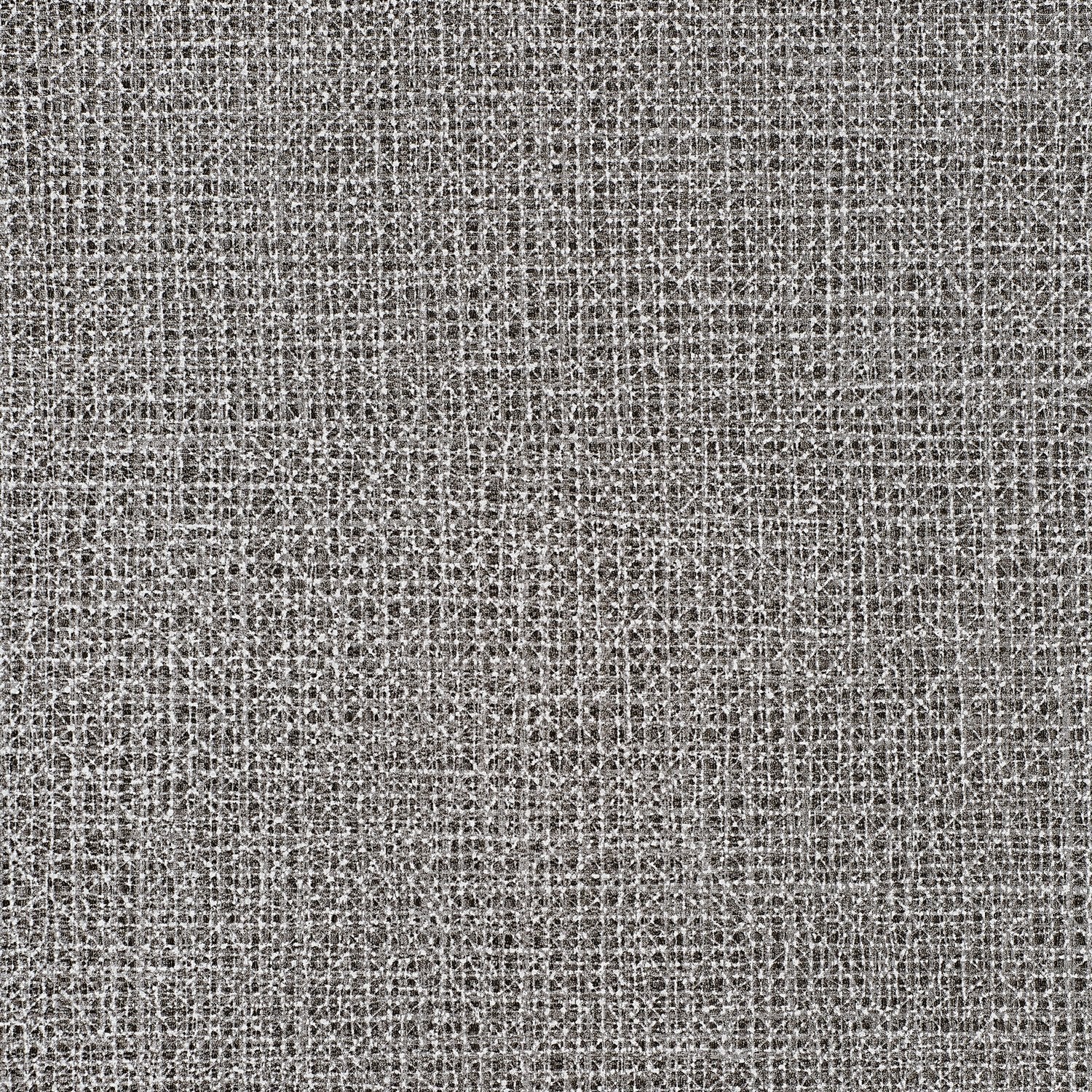 Divine - Y47627 Black & White - Wallcovering - Vycon - Kube Contract