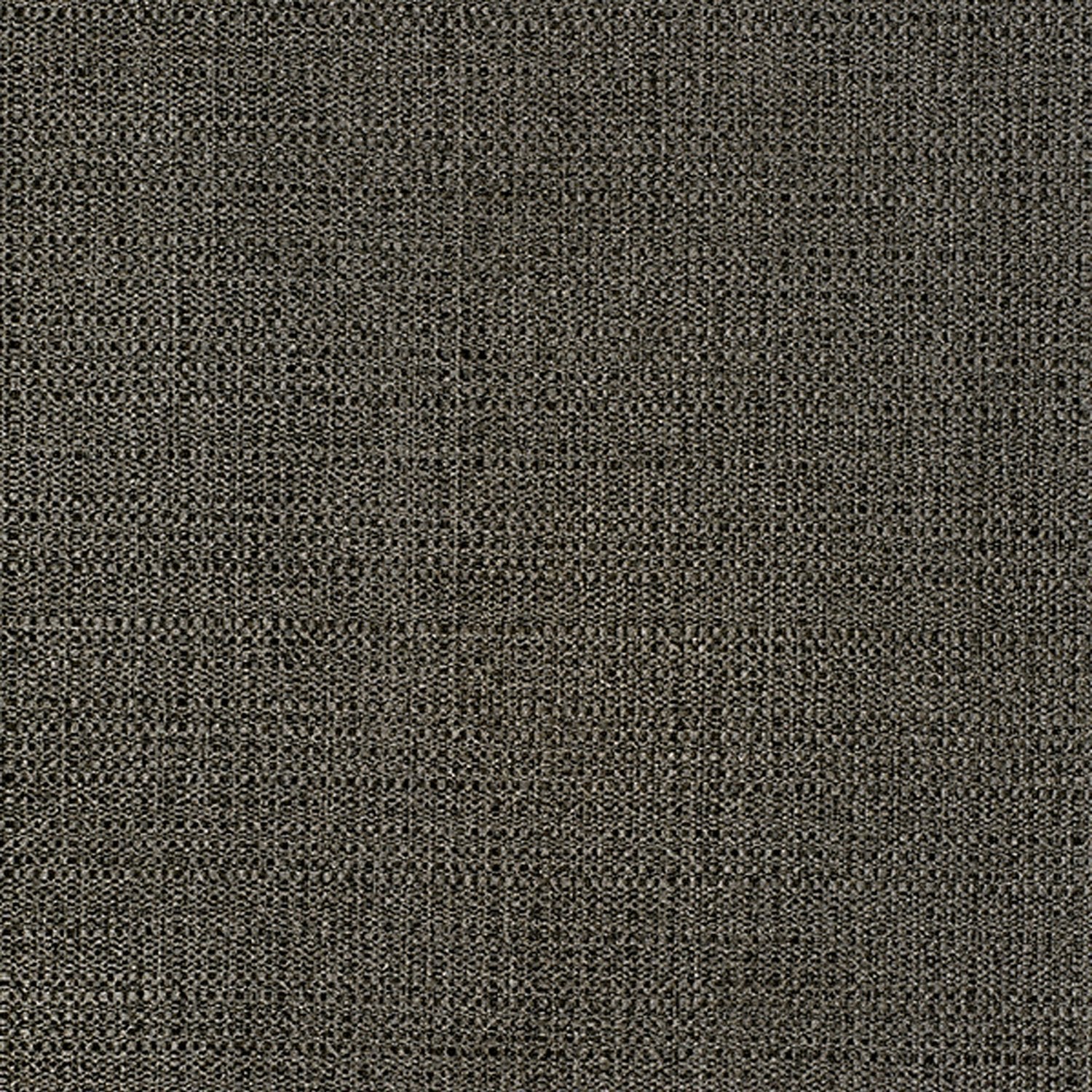 Divine - Y47631 Carbon - Wallcovering - Vycon - Kube Contract