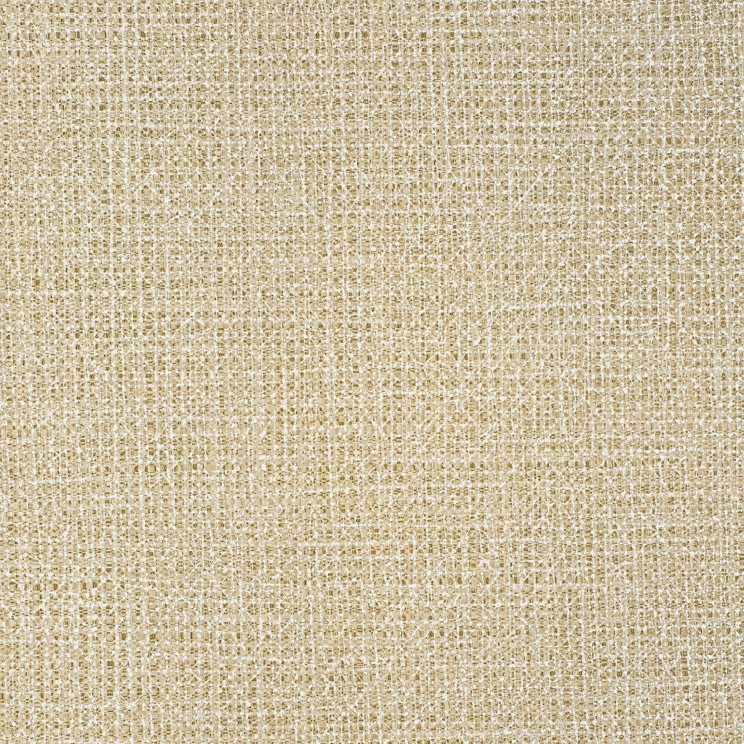 Divine - Y47637 Golden - Wallcovering - Vycon - Kube Contract