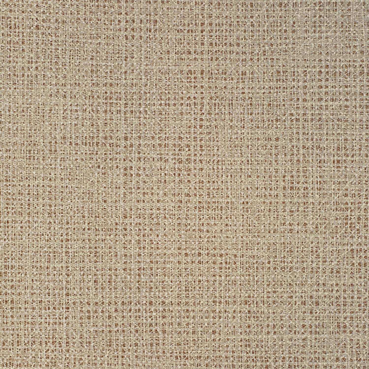 Divine - Y47638 Chanterelle - Wallcovering - Vycon - Kube Contract