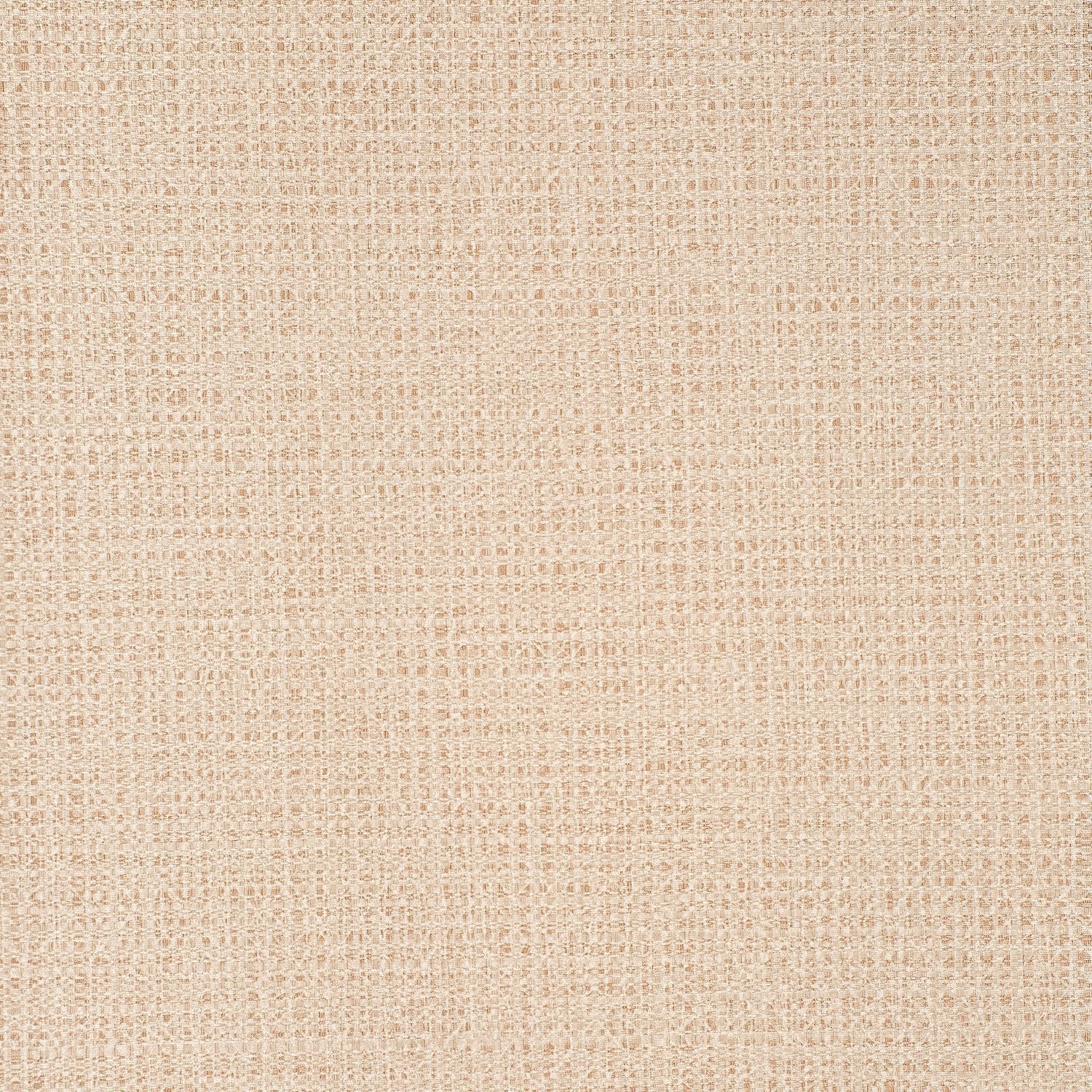 Divine - Y47641 Nude - Wallcovering - Vycon - Kube Contract