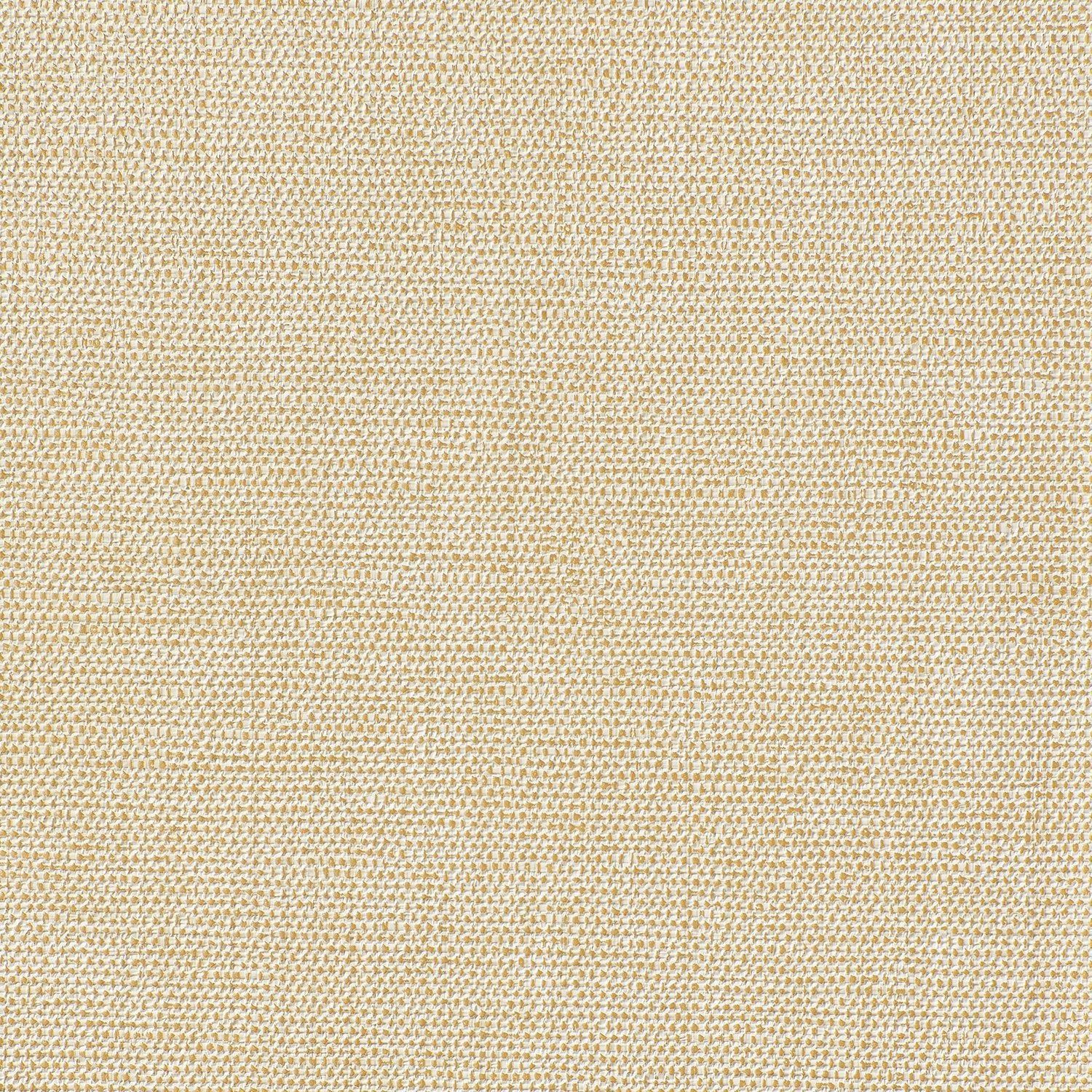 In a Flash - Y47839 - Wallcovering - Vycon - Kube Contract
