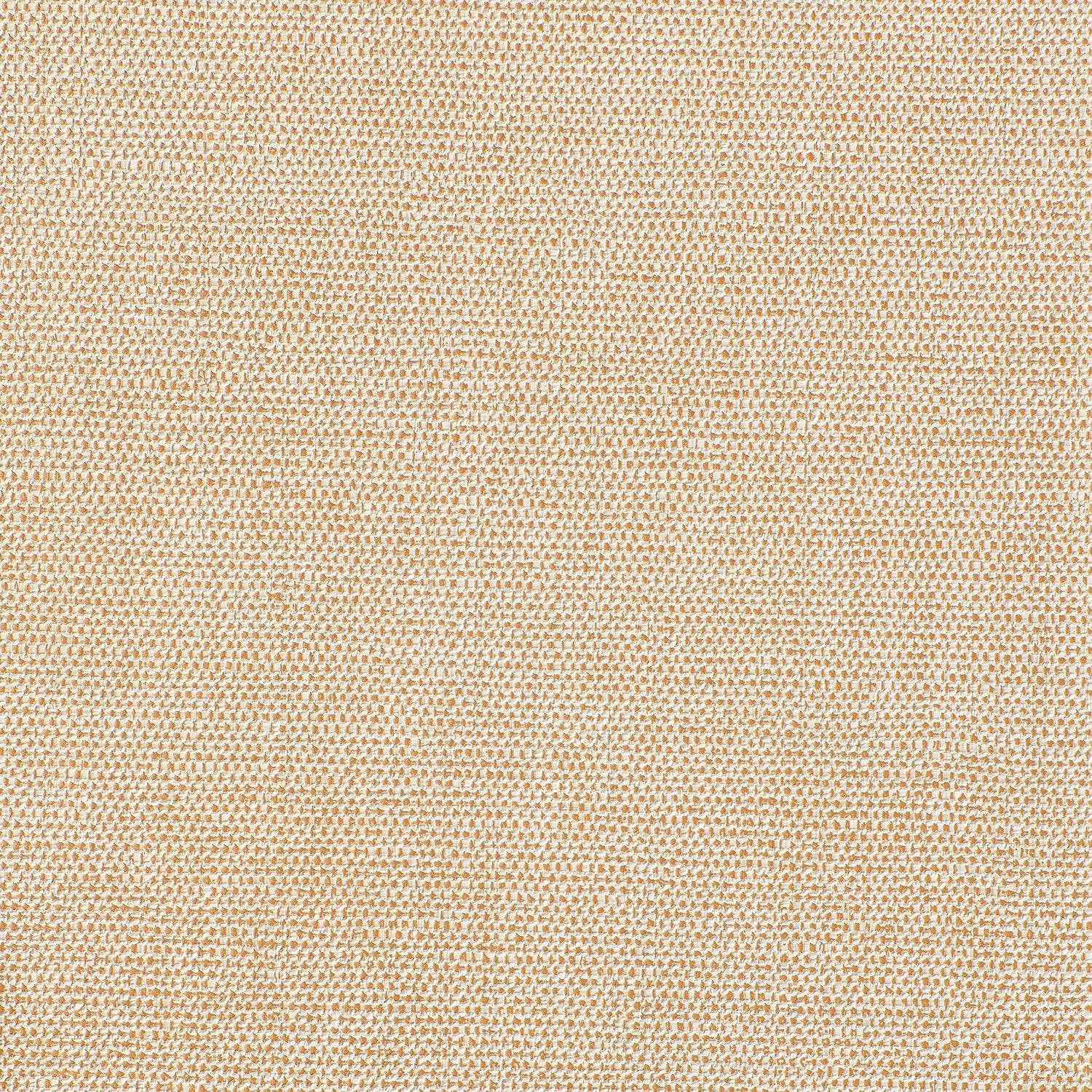 In a Flash - Y47840 - Wallcovering - Vycon - Kube Contract