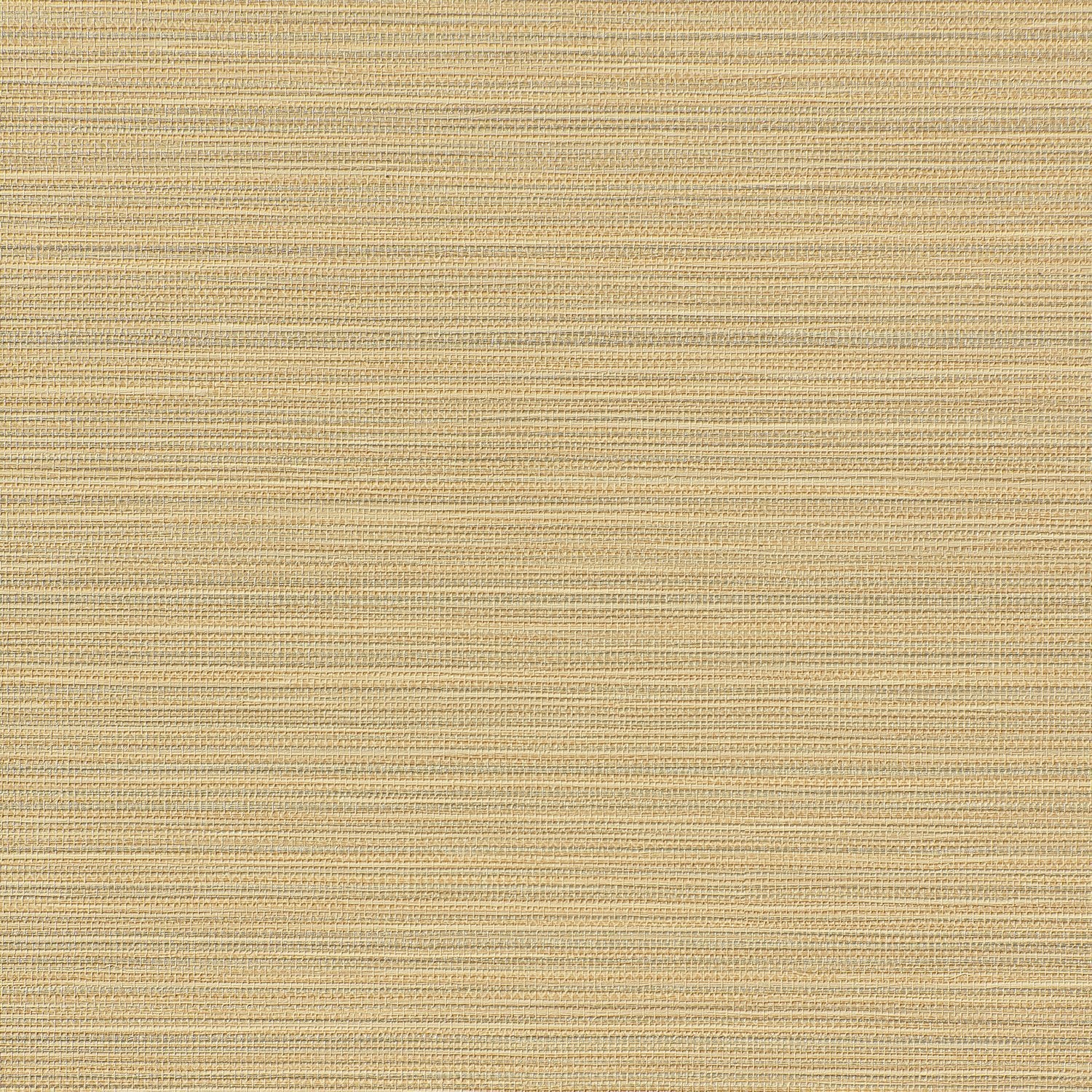 In Stitches - Y47812 - Wallcovering - Vycon - Kube Contract