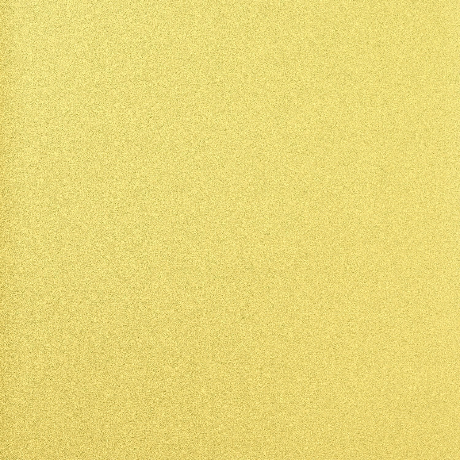 Nero - 1024.19 - Wallcovering - Vescom - Kube Contract