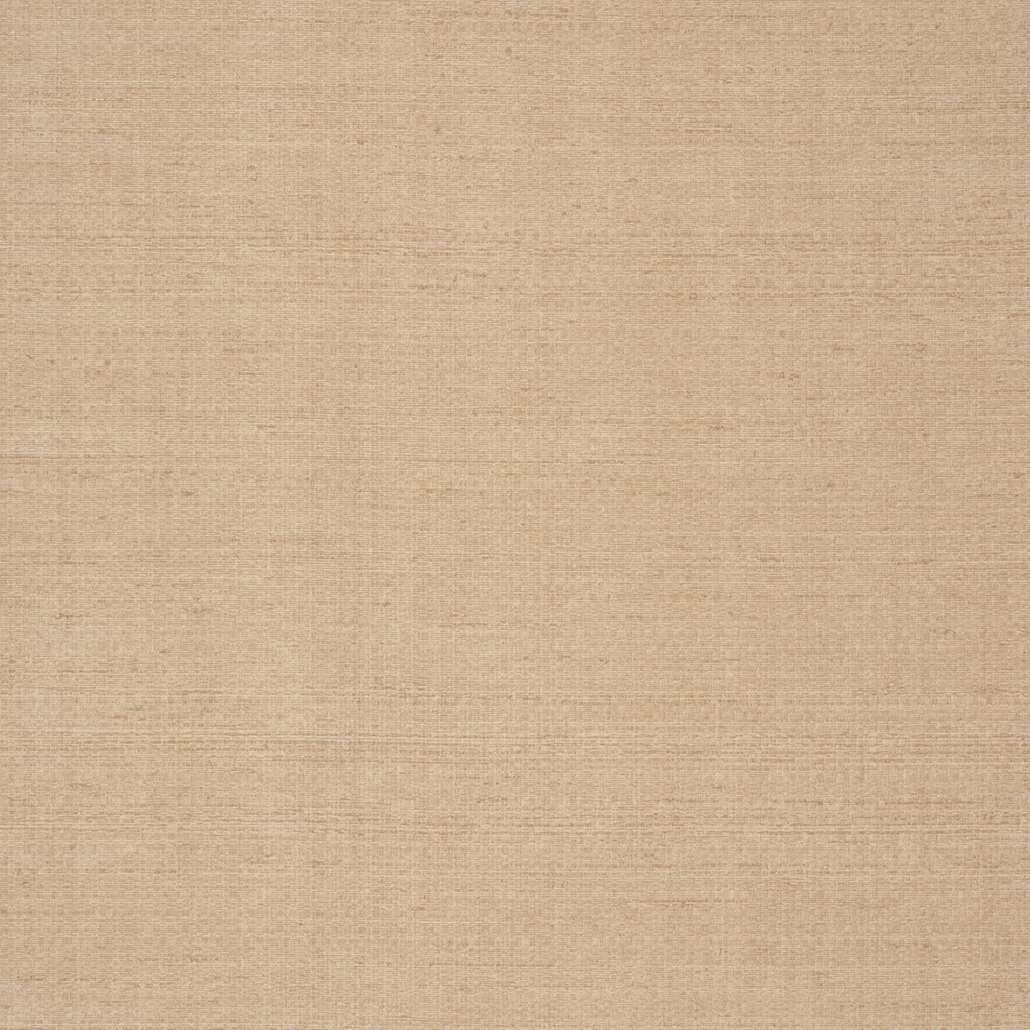 Oasis - Y44914 - Wallcovering - Vycon - Kube Contract