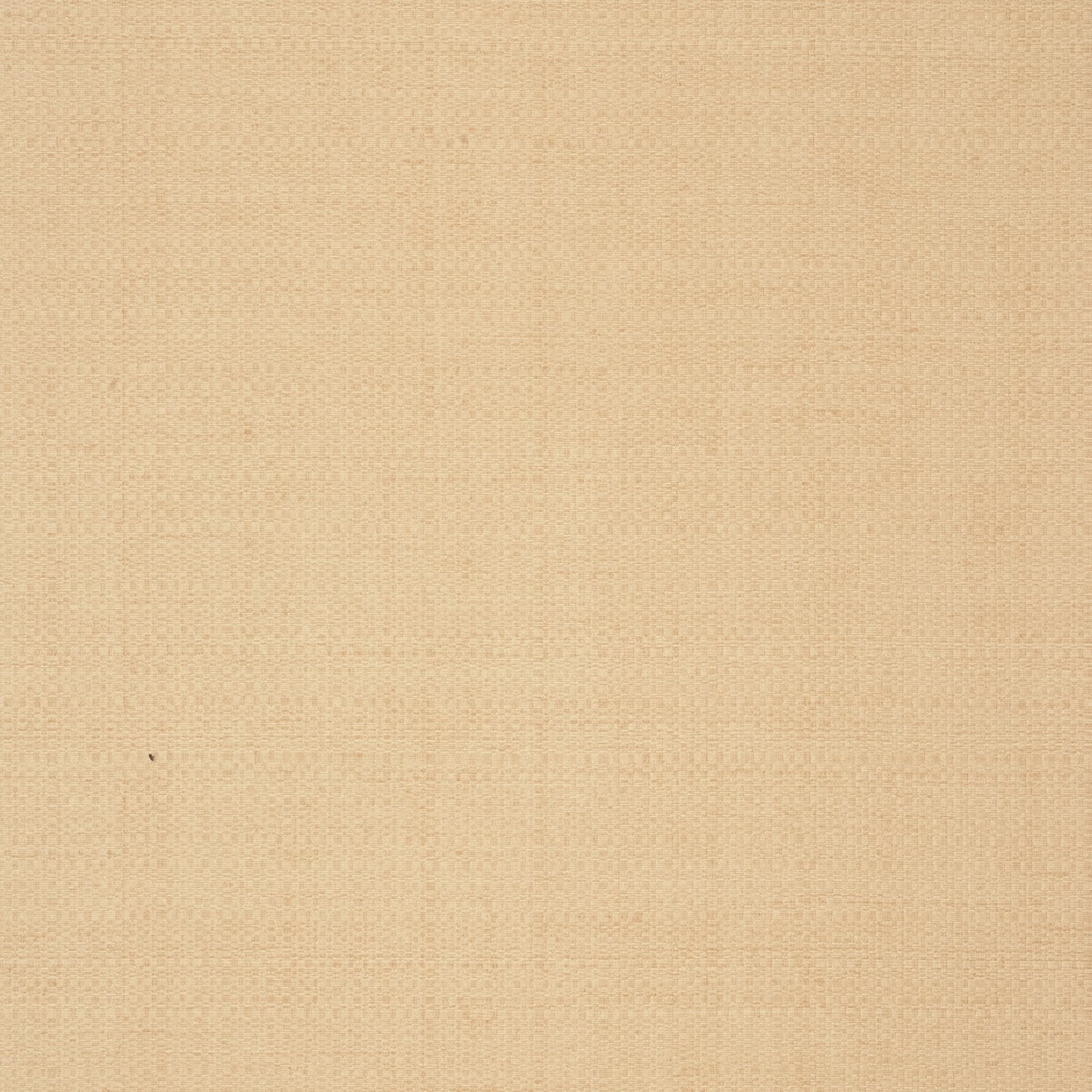 Oasis - Y44915 - Wallcovering - Vycon - Kube Contract