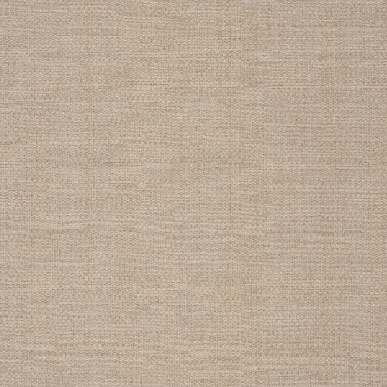 Oasis - Y44916 - Wallcovering - Vycon - Kube Contract