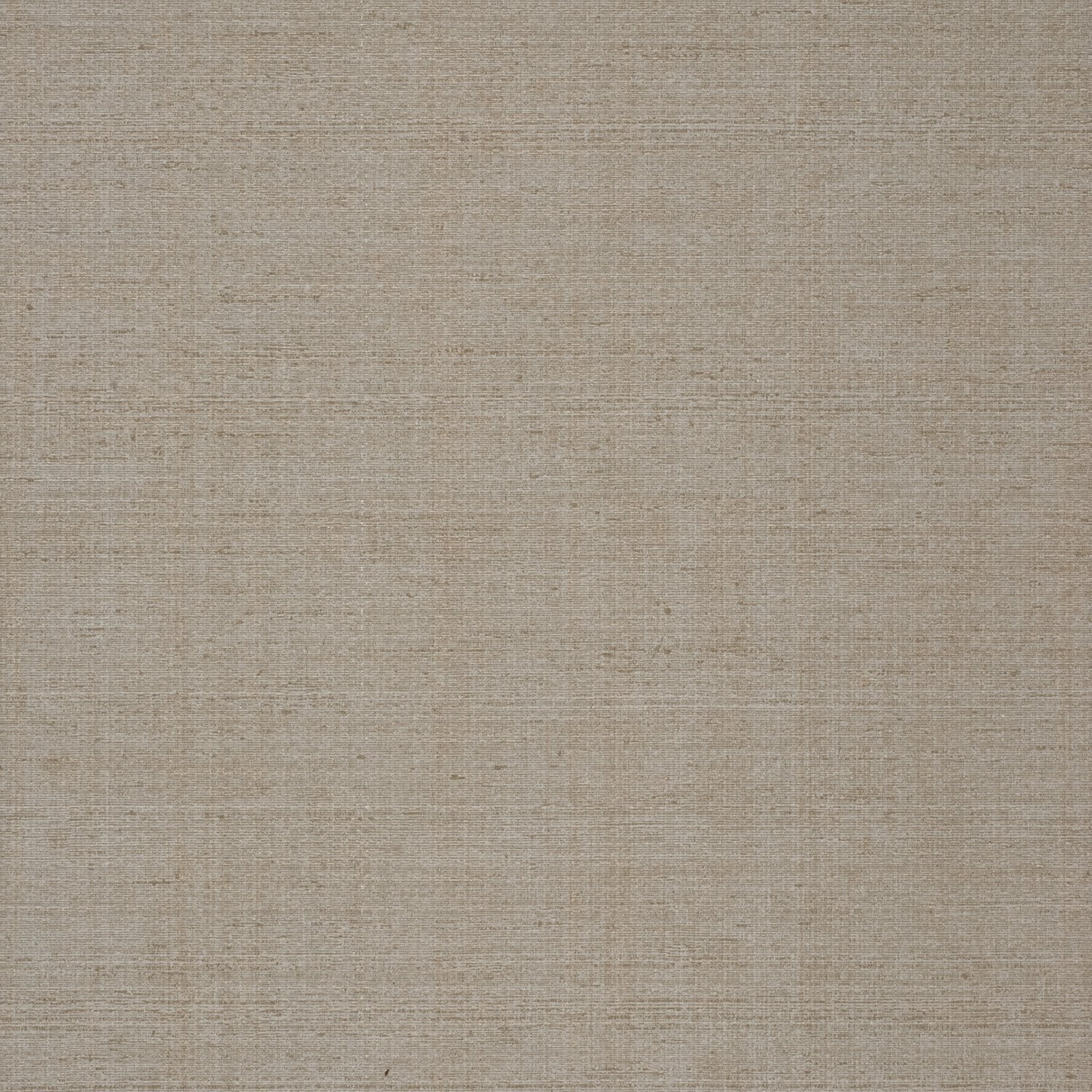 Oasis - Y44932 - Wallcovering - Vycon - Kube Contract