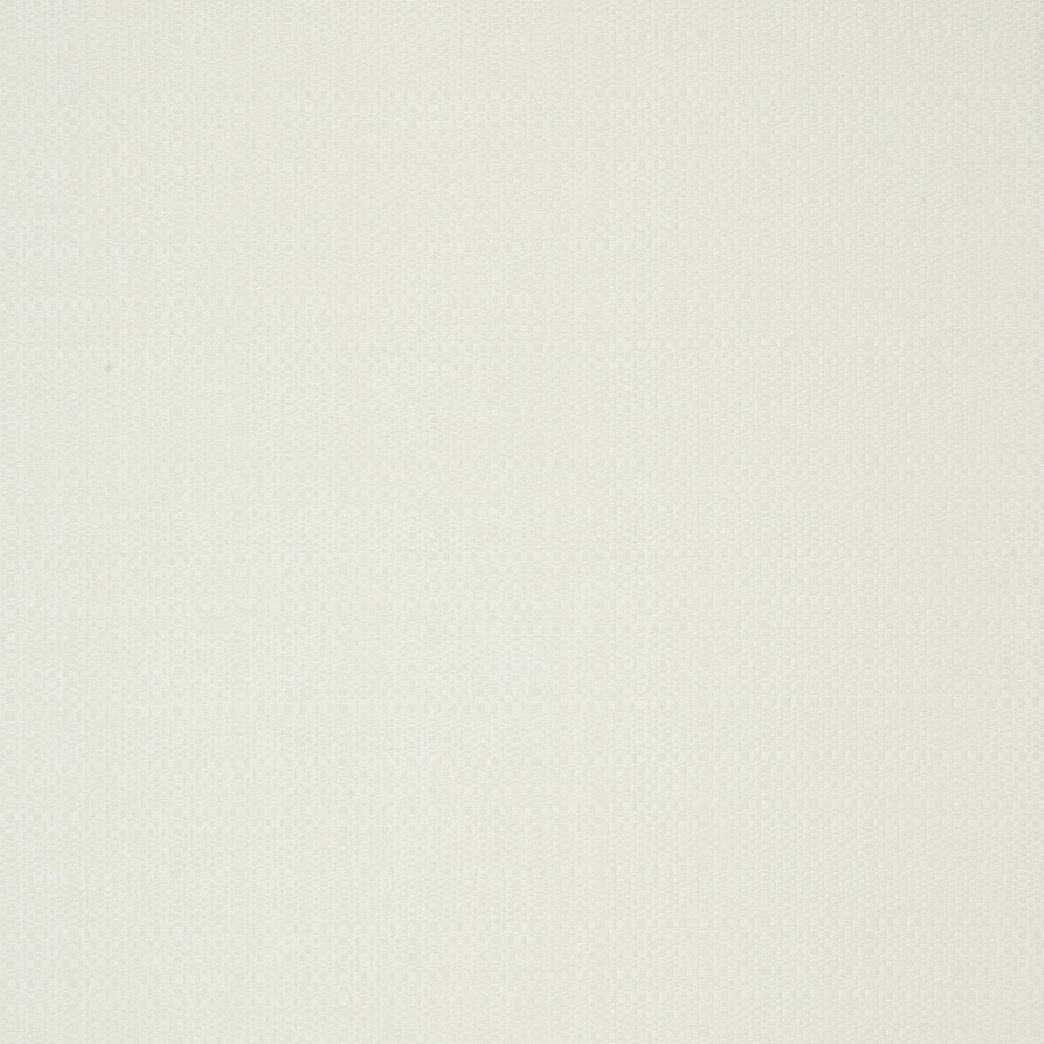 Oasis - Y46345 - Wallcovering - Vycon - Kube Contract