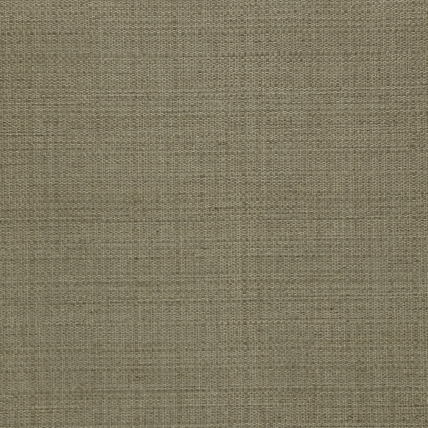 Oasis - Y47310 - Wallcovering - Vycon - Kube Contract