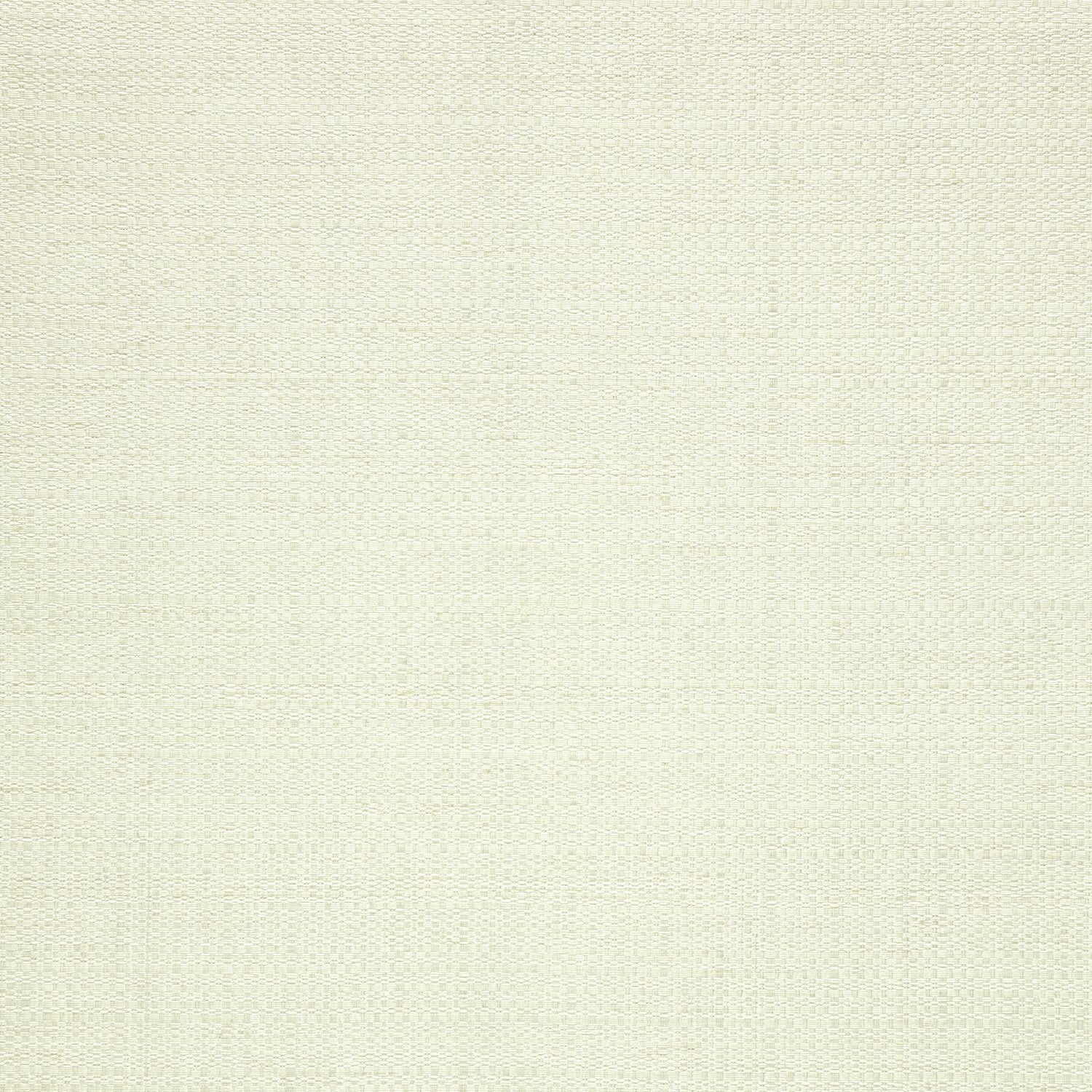 Oasis - Y47313 - Wallcovering - Vycon - Kube Contract