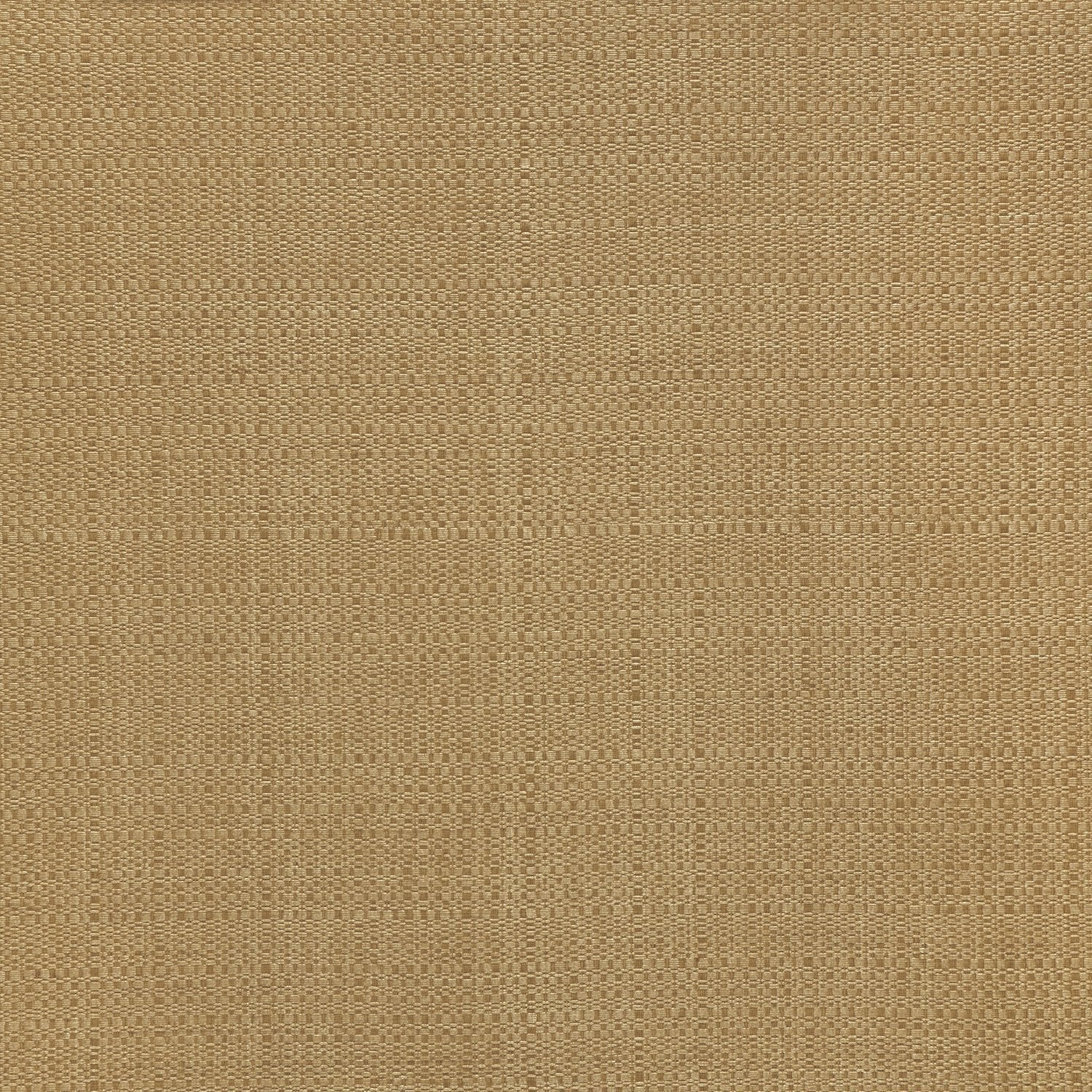 Oasis - Y47316 - Wallcovering - Vycon - Kube Contract